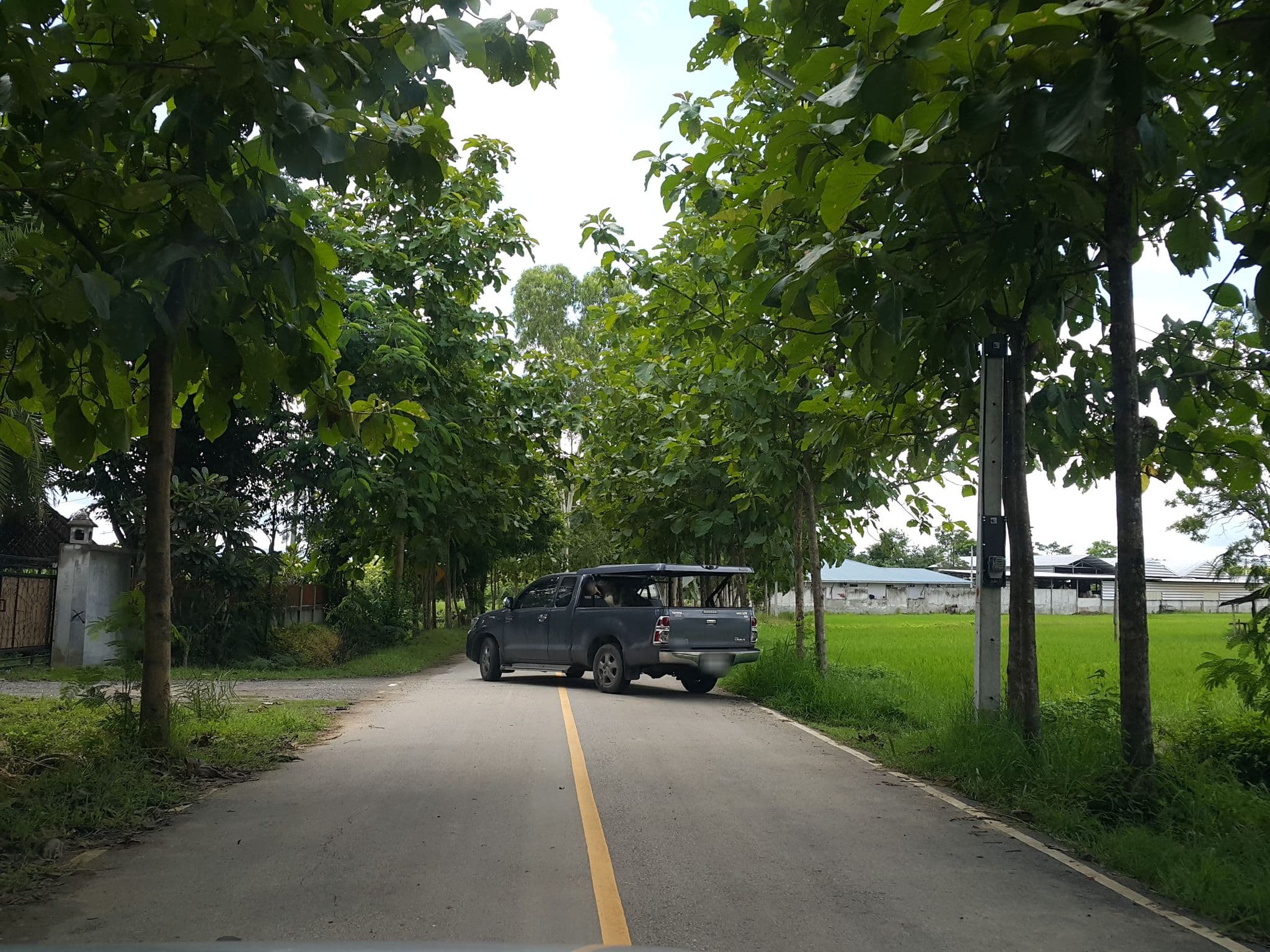 Street view near Cesar Dog care รับฝากสุนัขเชียงใหม่, San Kamphaeng — © jrcarlsen (CC BY-SA · Mapillary)