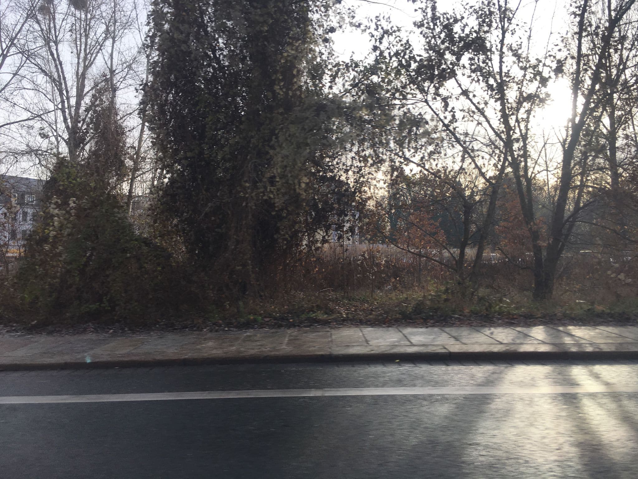 Street view near Super 8 by Wyndham Dresden, Dresden — © yaron (CC BY-SA · Mapillary)