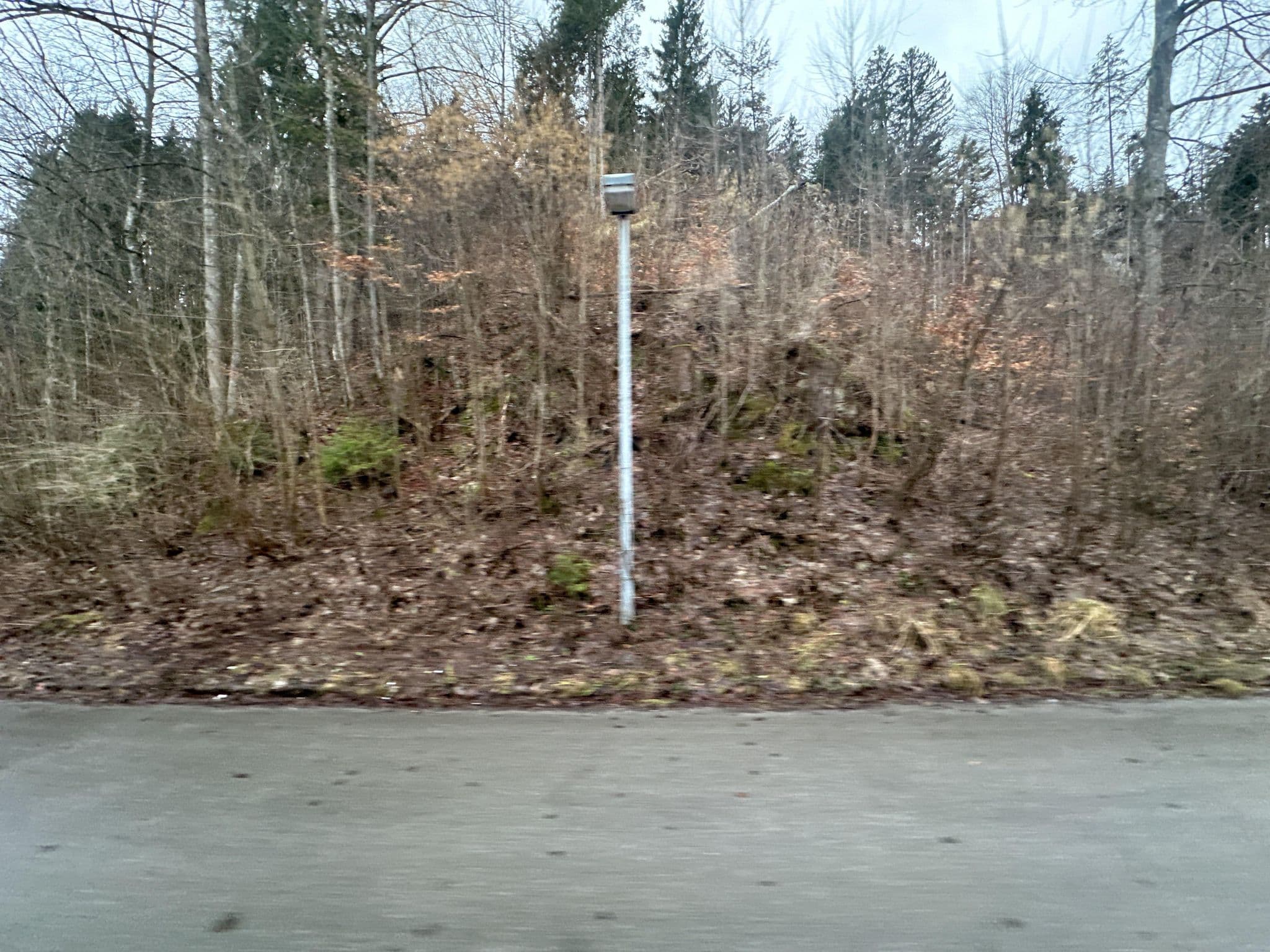 Street view near Hotel Restaurant Waldmann, Schwangau — © quickness805 (CC BY-SA · Mapillary)