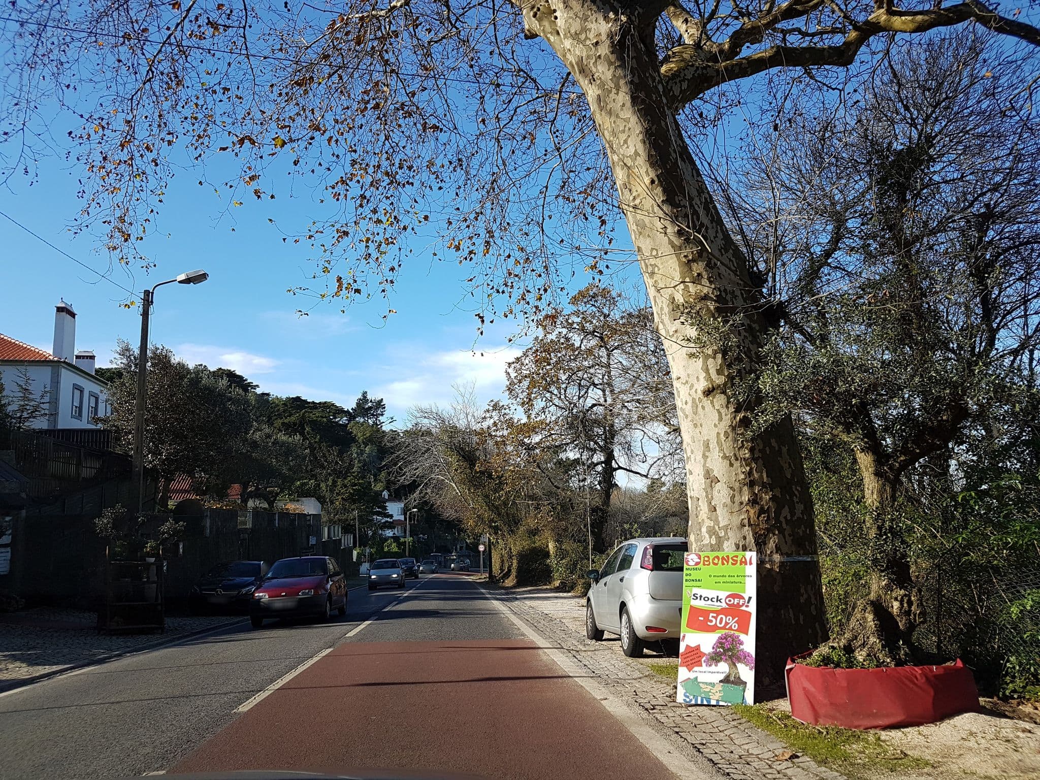 Street view near Zen Guest House - Museu do Bonsai, Sintra — © jopparn (CC BY-SA · Mapillary)