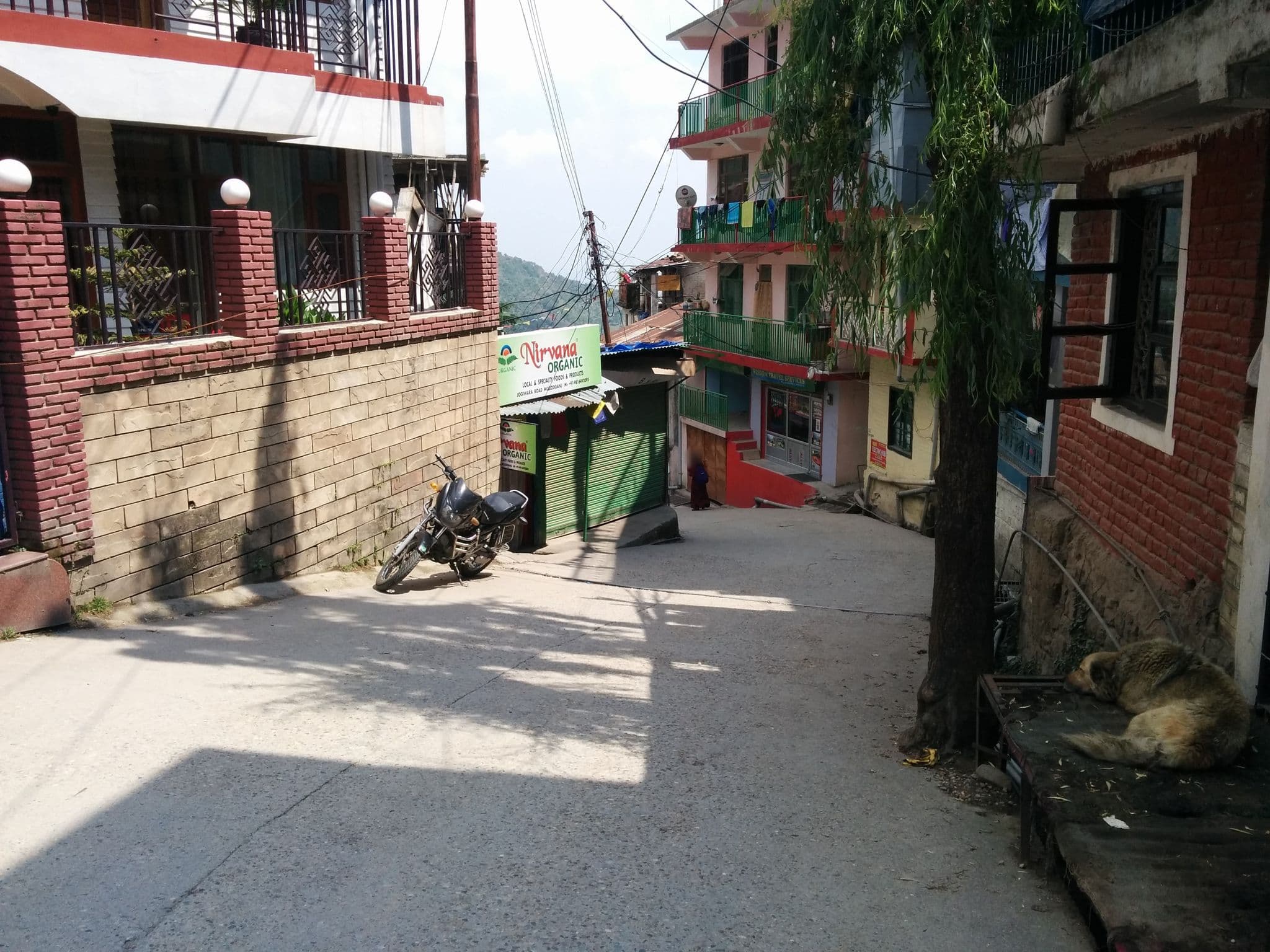 Street view near Mitra Mcleodganj, Dharamsala — © sashazykov (CC BY-SA · Mapillary)