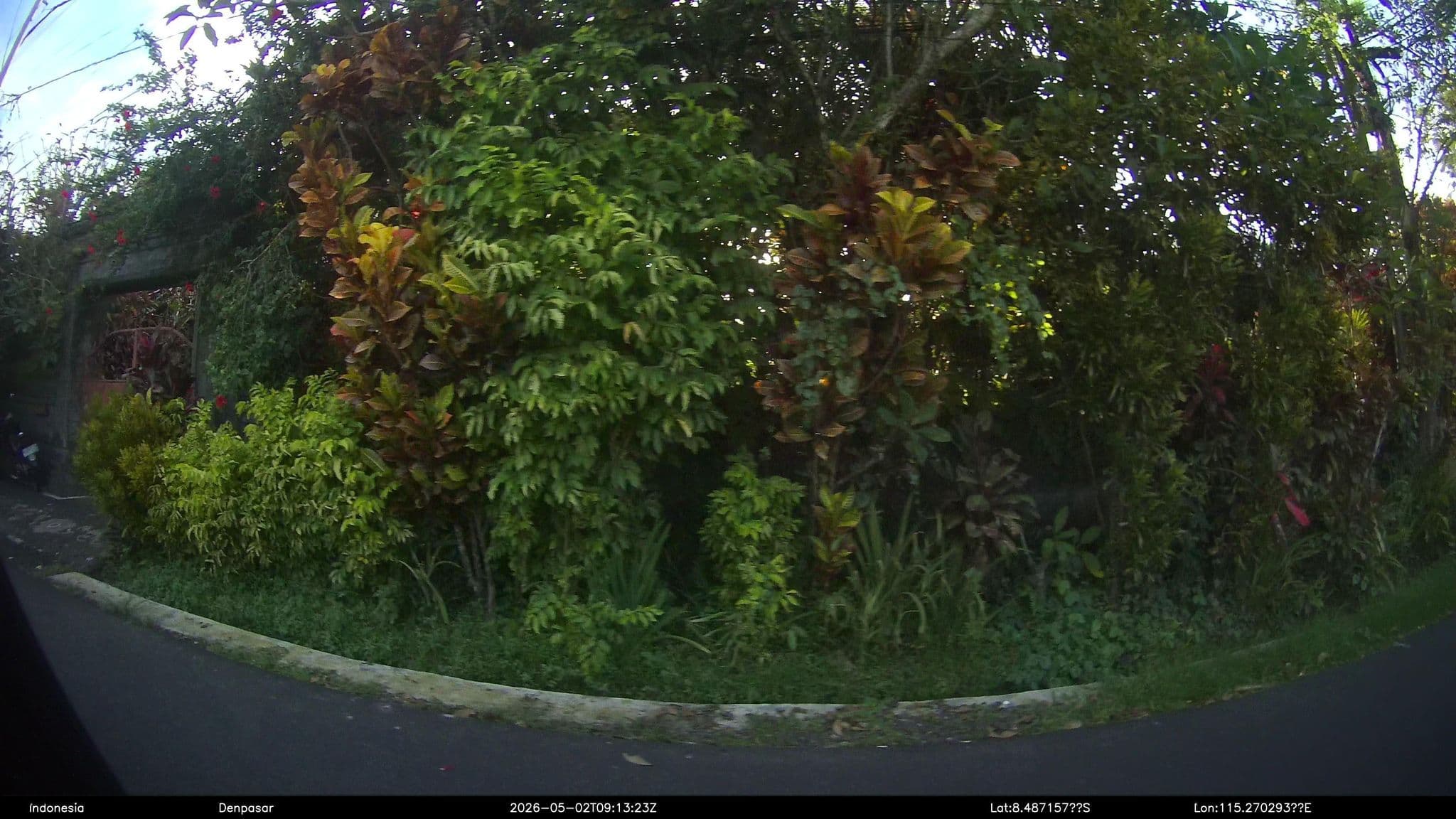 Street view near Calma Ubud Suite & Villas, Ubud