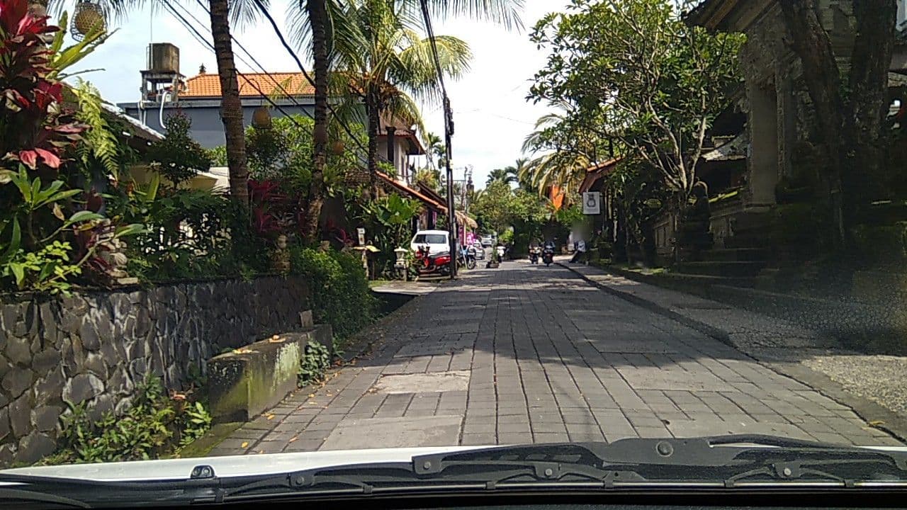 Street view near Honeymoon Guest House, Ubud