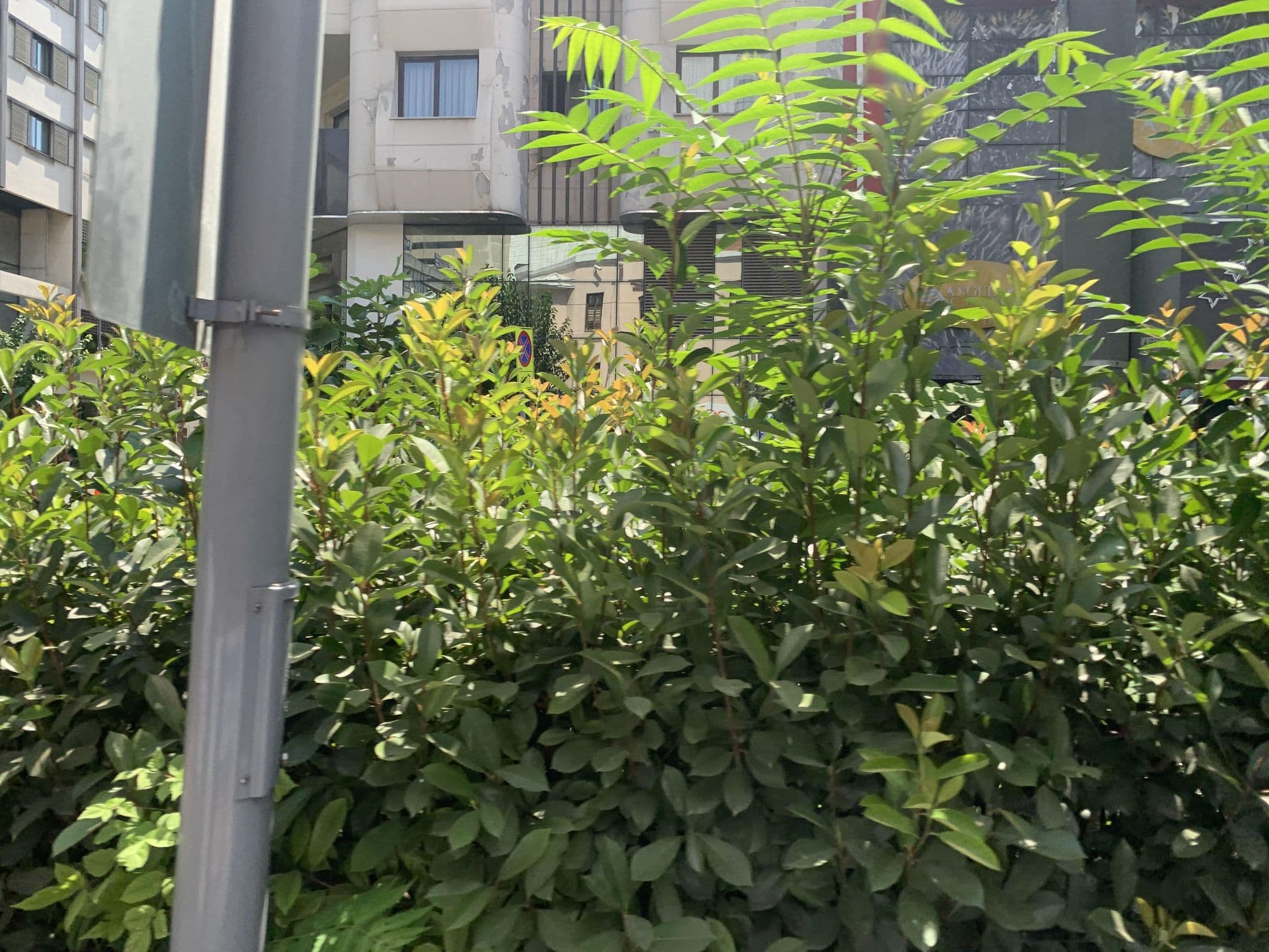 Street view near Kaya Prestige Hotel, İzmir — © robot8a (CC BY-SA · Mapillary)