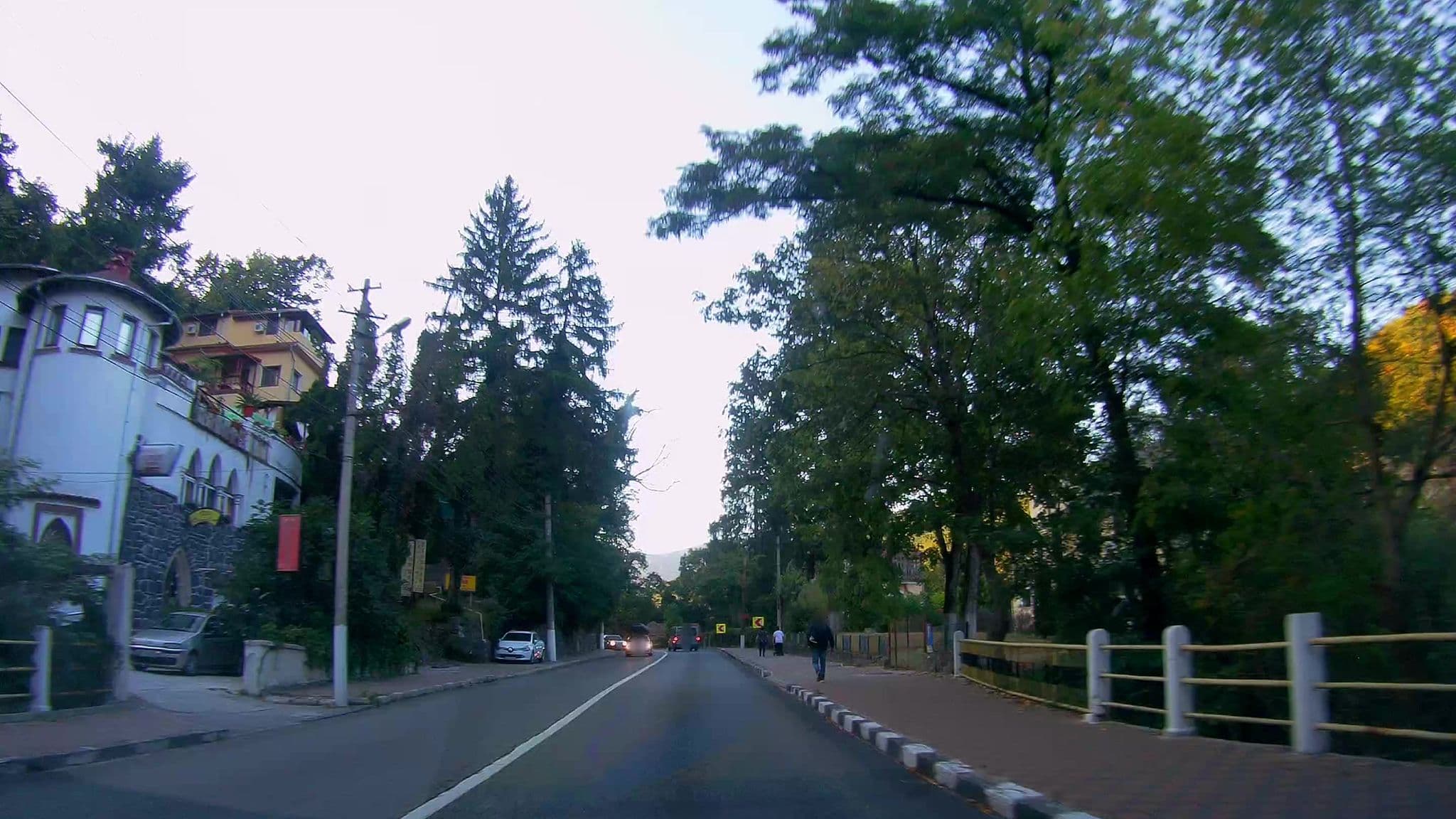 Street view near Vila Florilor, Jiblea Veche — © m_solodzhuk (CC BY-SA · Mapillary)