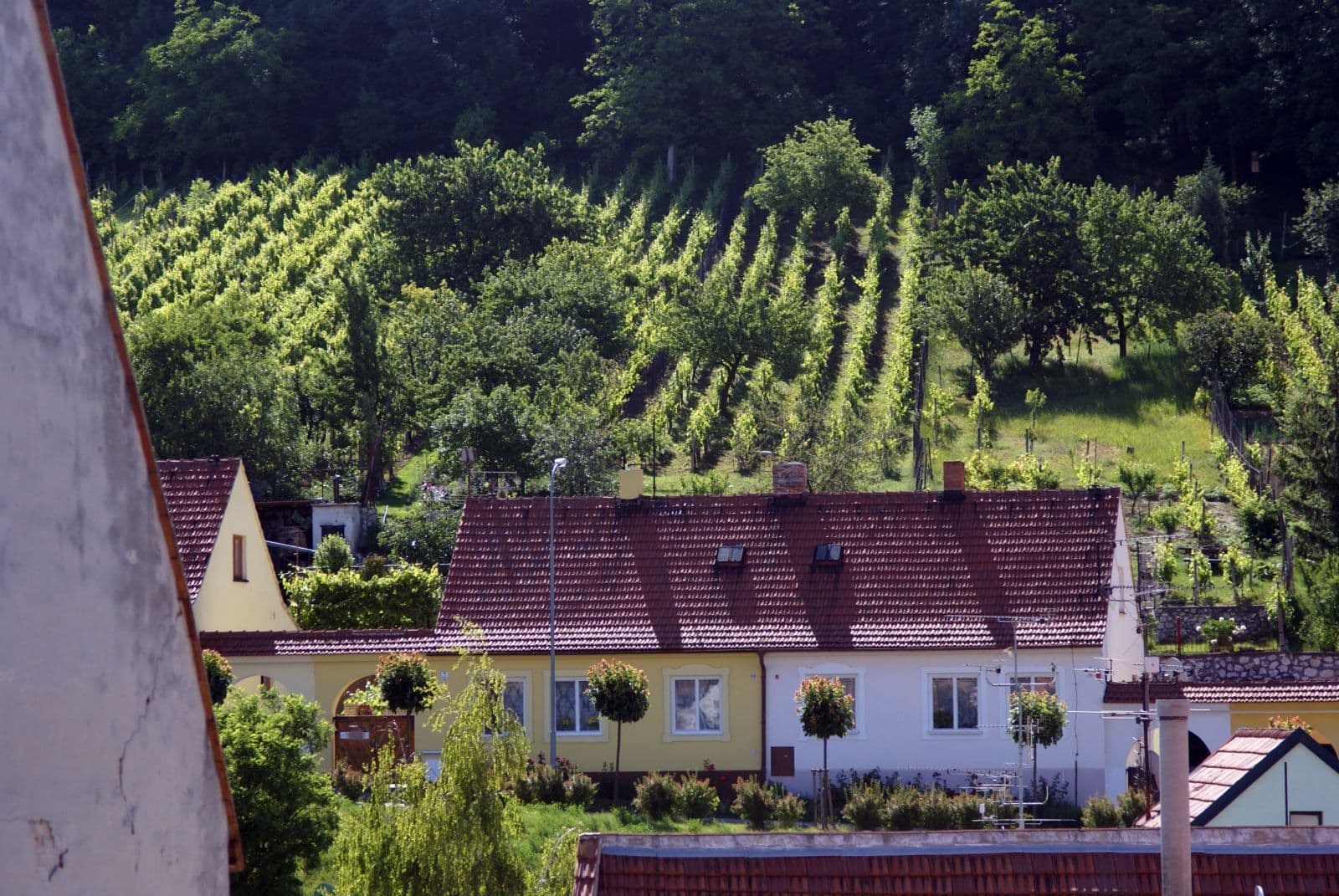 Street view near Pension Alva, Mikulov — © txllxt (CC BY-SA · Mapillary)
