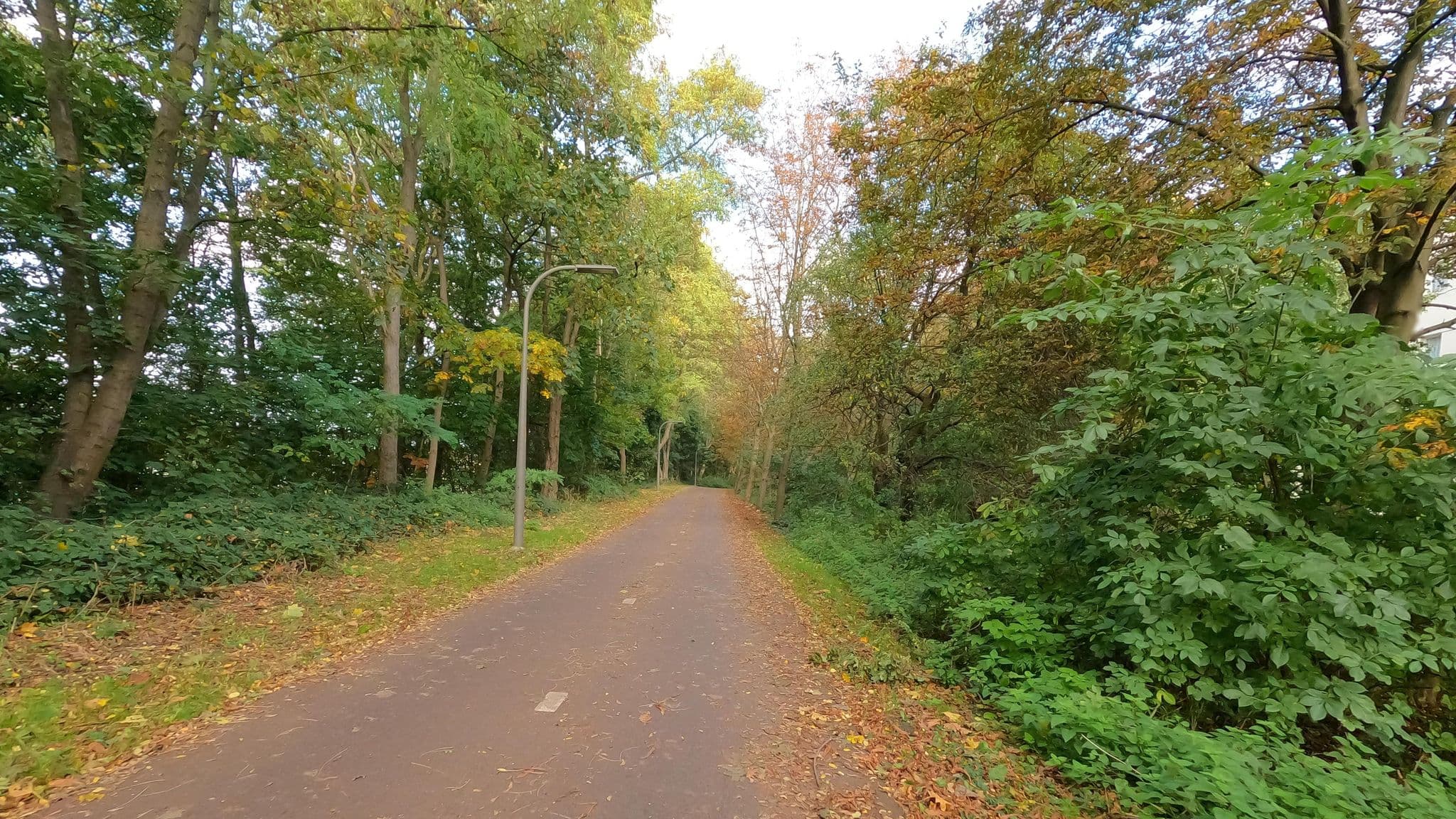 Street view near Tulip Inn Antwerpen, Borgerhout — © koninklijke (CC BY-SA · Mapillary)