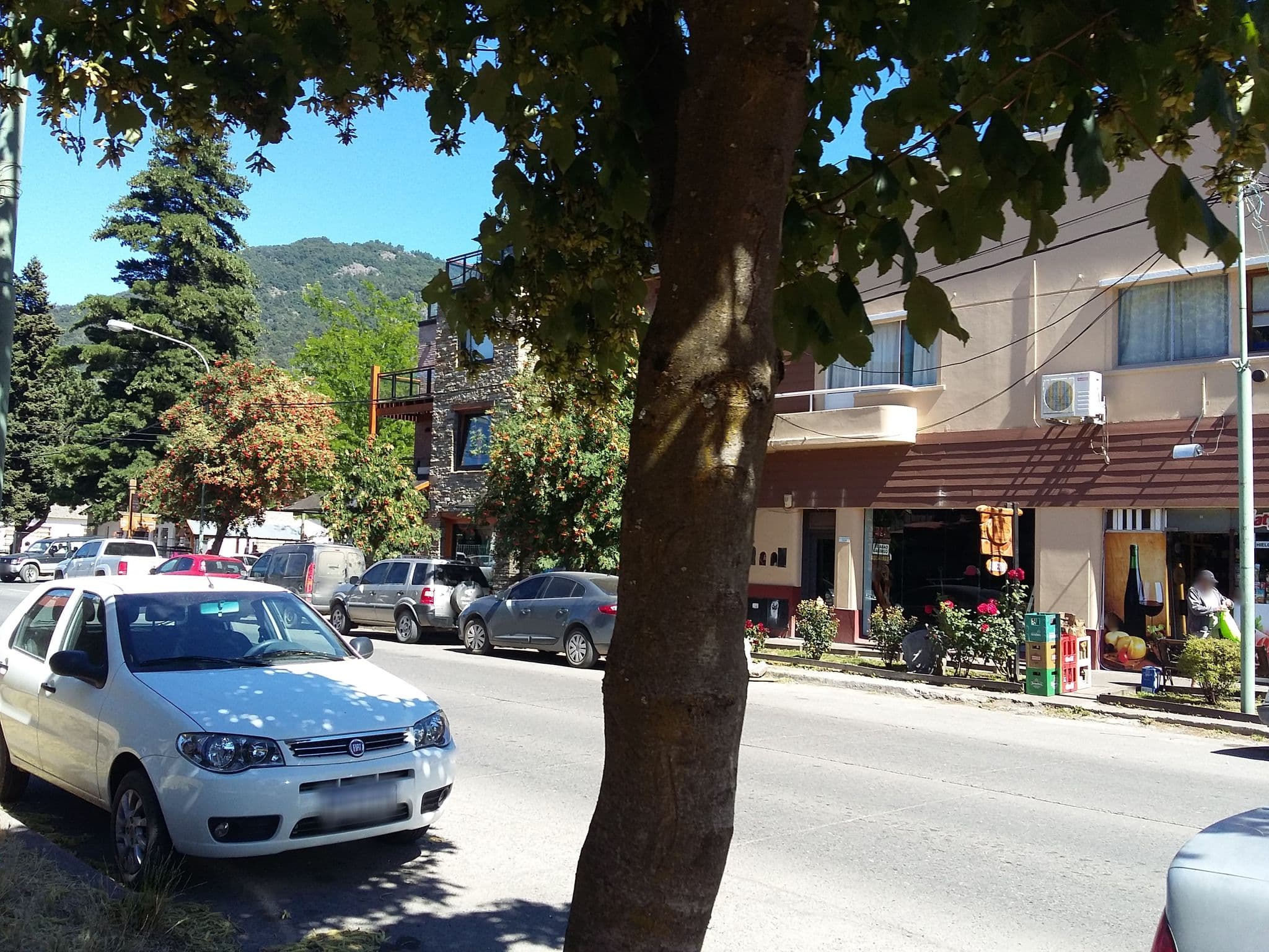 Street view near Hotel Del Viejo Esquiador, San Martín de los Andes — © guillemmal (CC BY-SA · Mapillary)