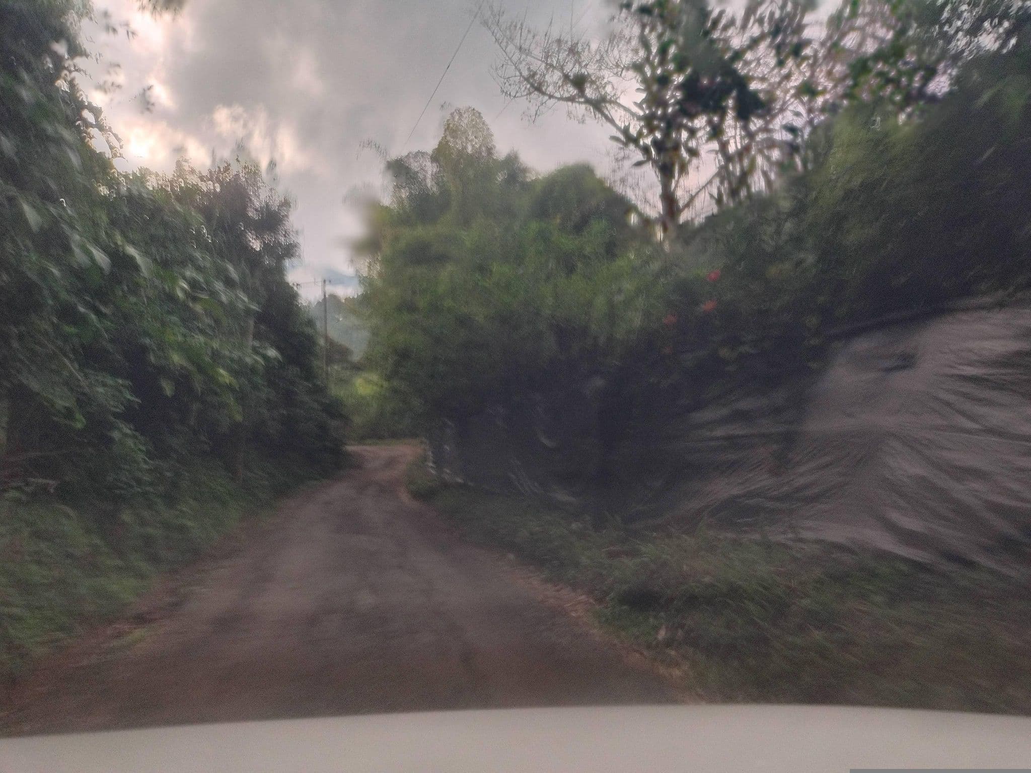 Street view near FILADELFIA RESERVA NATURAL, Cali — © Empanada (CC BY-SA · Mapillary)