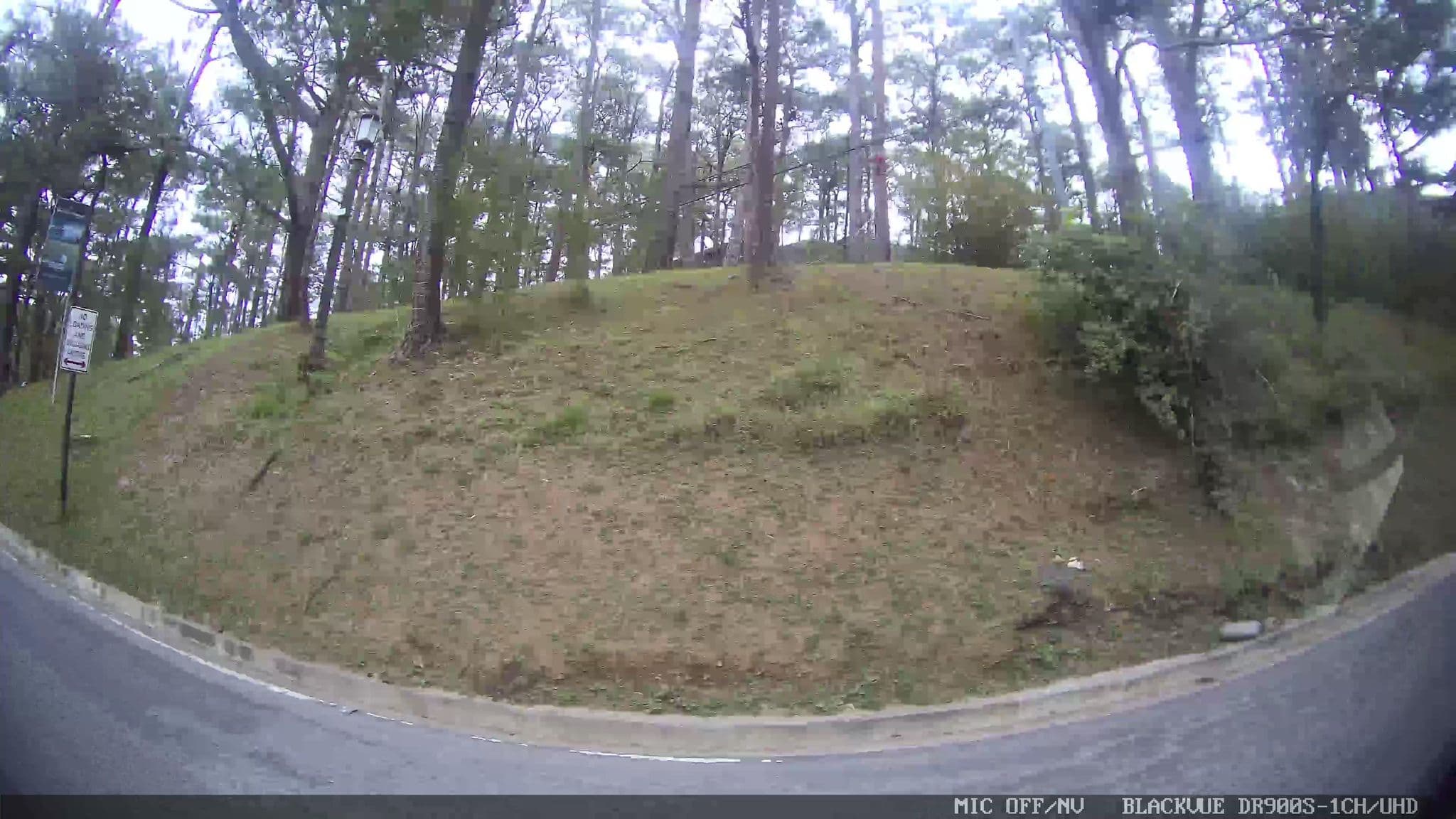 Street view near John Hay Hotels (Formerly The Manor and Forest Lodge), Tuding — © Kaart---LEFT (CC BY-SA · Mapillary)
