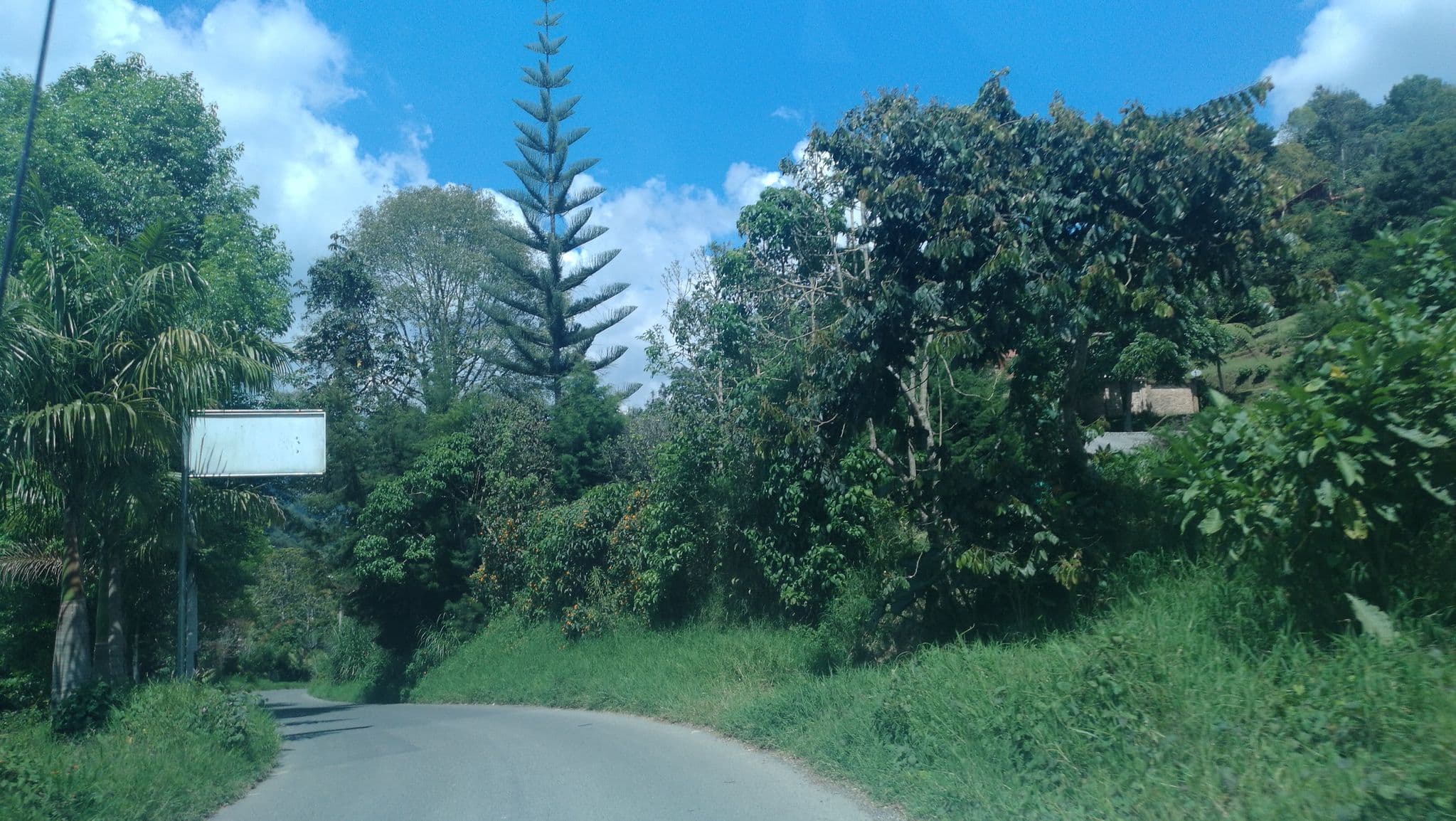 Street view near Boki - Hotel Mirador de Boquía, Salento — © namara (CC BY-SA · Mapillary)