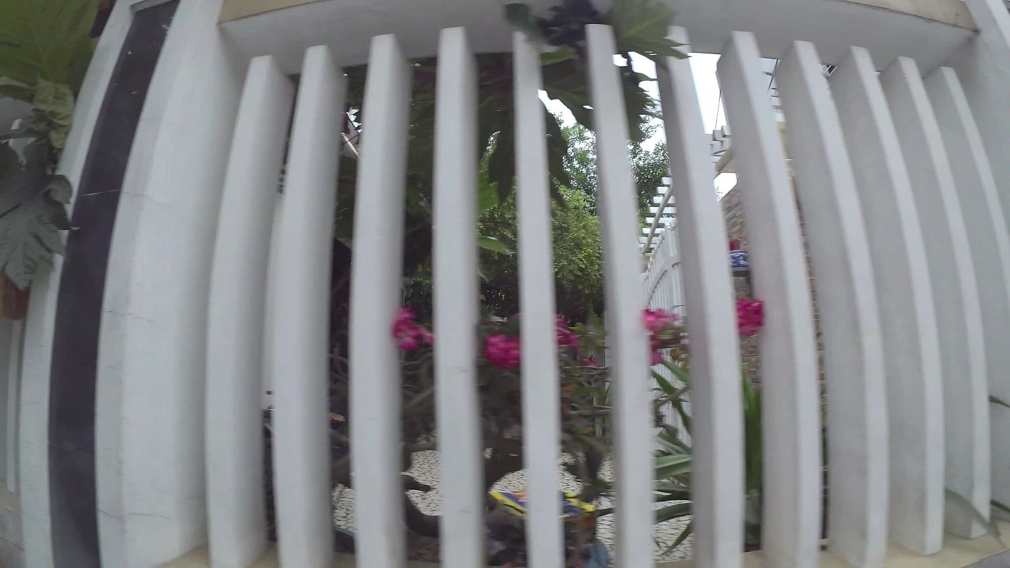 Street view near Sena Homestay Danang Dragon Bridge, Sơn Trà — © kaartcam (CC BY-SA · Mapillary)