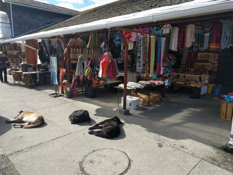 Street view near Hostal Mirador 2, Castro — © janvanbekkum (CC BY-SA · Mapillary)