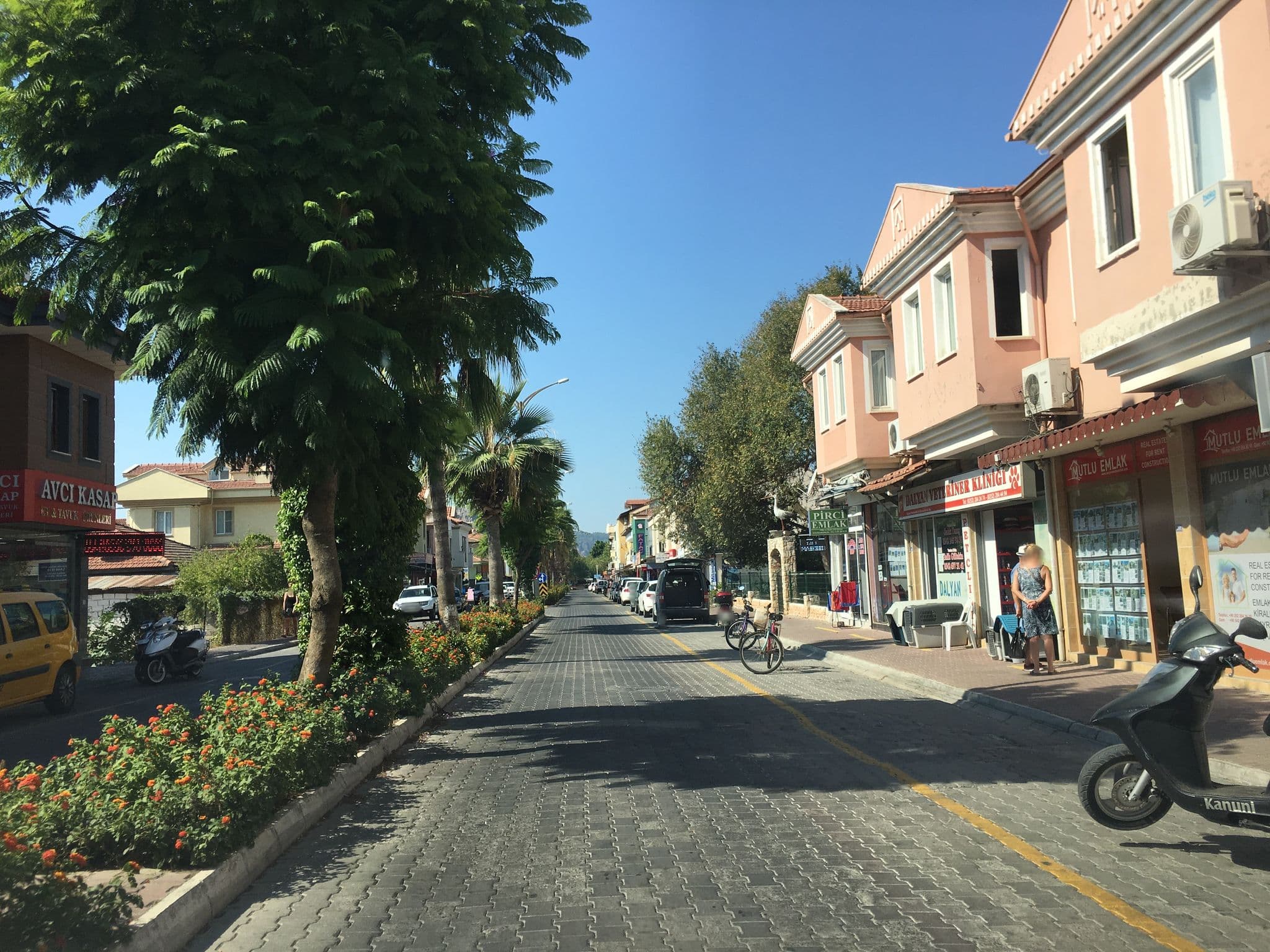 Street view near Rota Hotel, Dalyan — © empty (CC BY-SA · Mapillary)