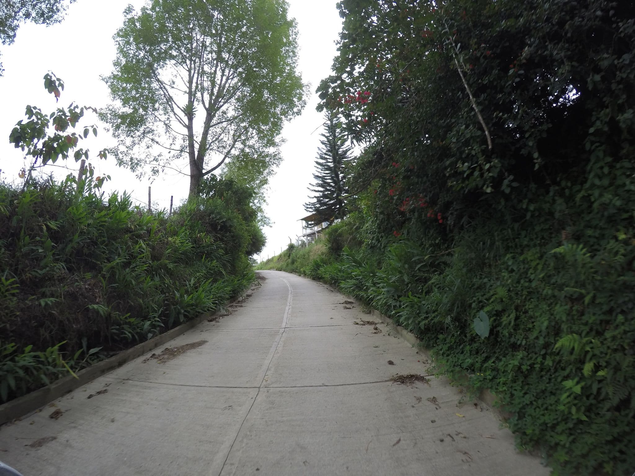 Street view near Alojamiento rural mi tesorito, Filandia — © humano (CC BY-SA · Mapillary)