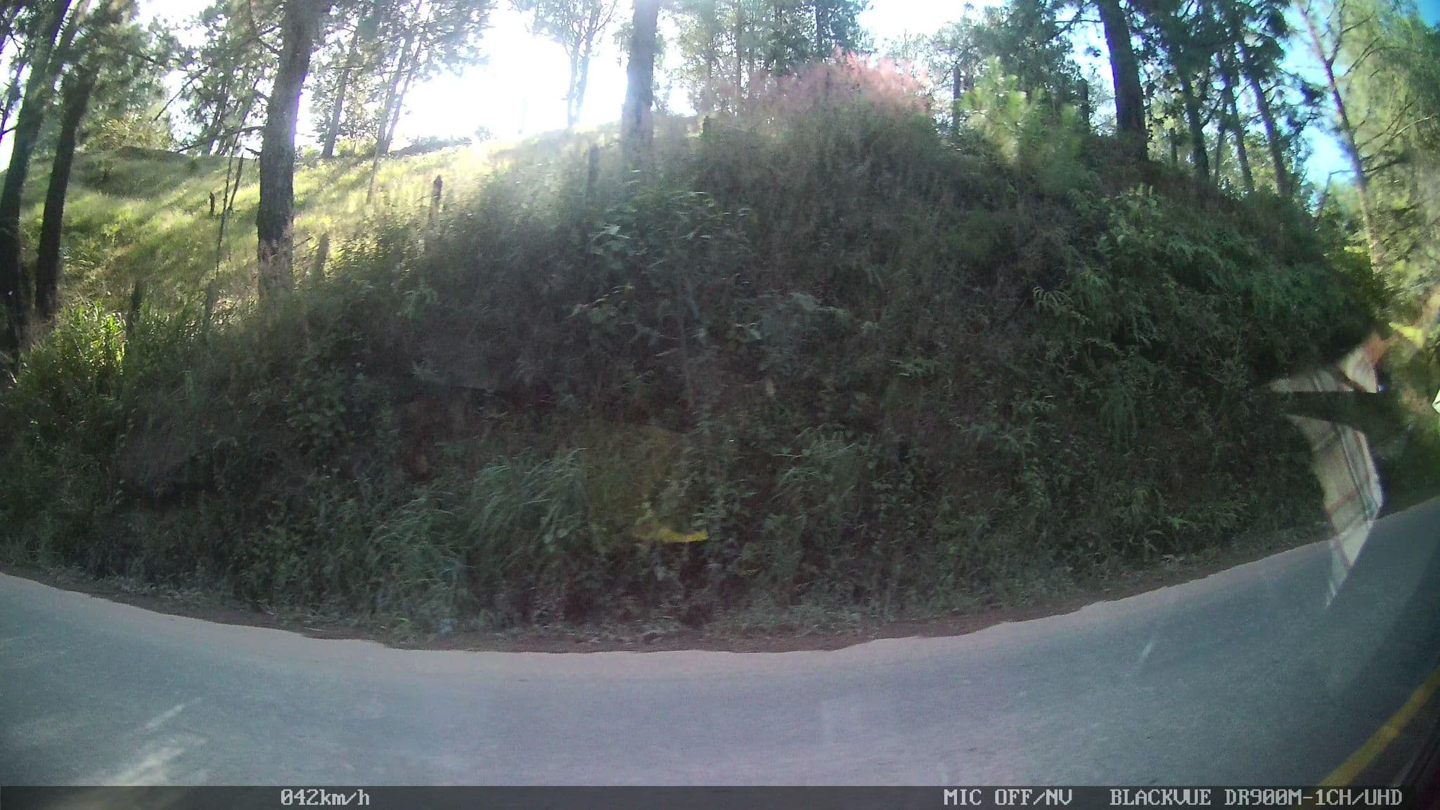 Street view near Domus Glamping, Guatapé — © kaart_4 (CC BY-SA · Mapillary)