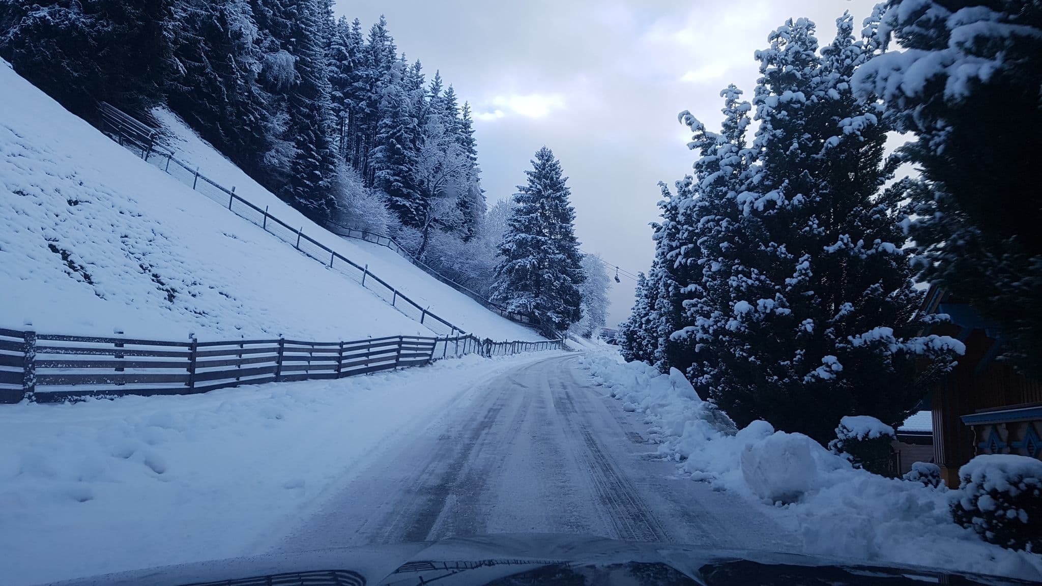 Street view near Palfengut, Plankenau — © schermy_at (CC BY-SA · Mapillary)