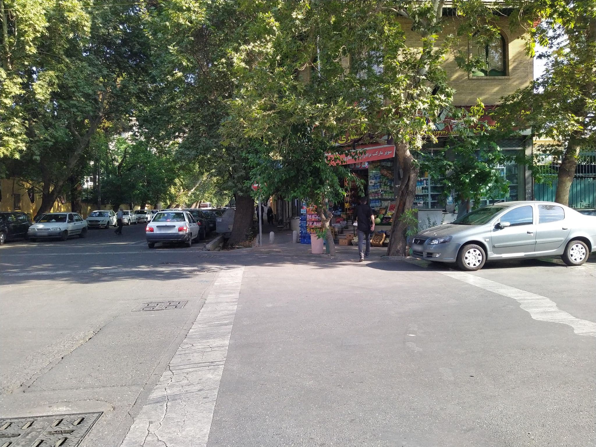 Street view near Hotel Atana, Tehran — © drzakery (CC BY-SA · Mapillary)