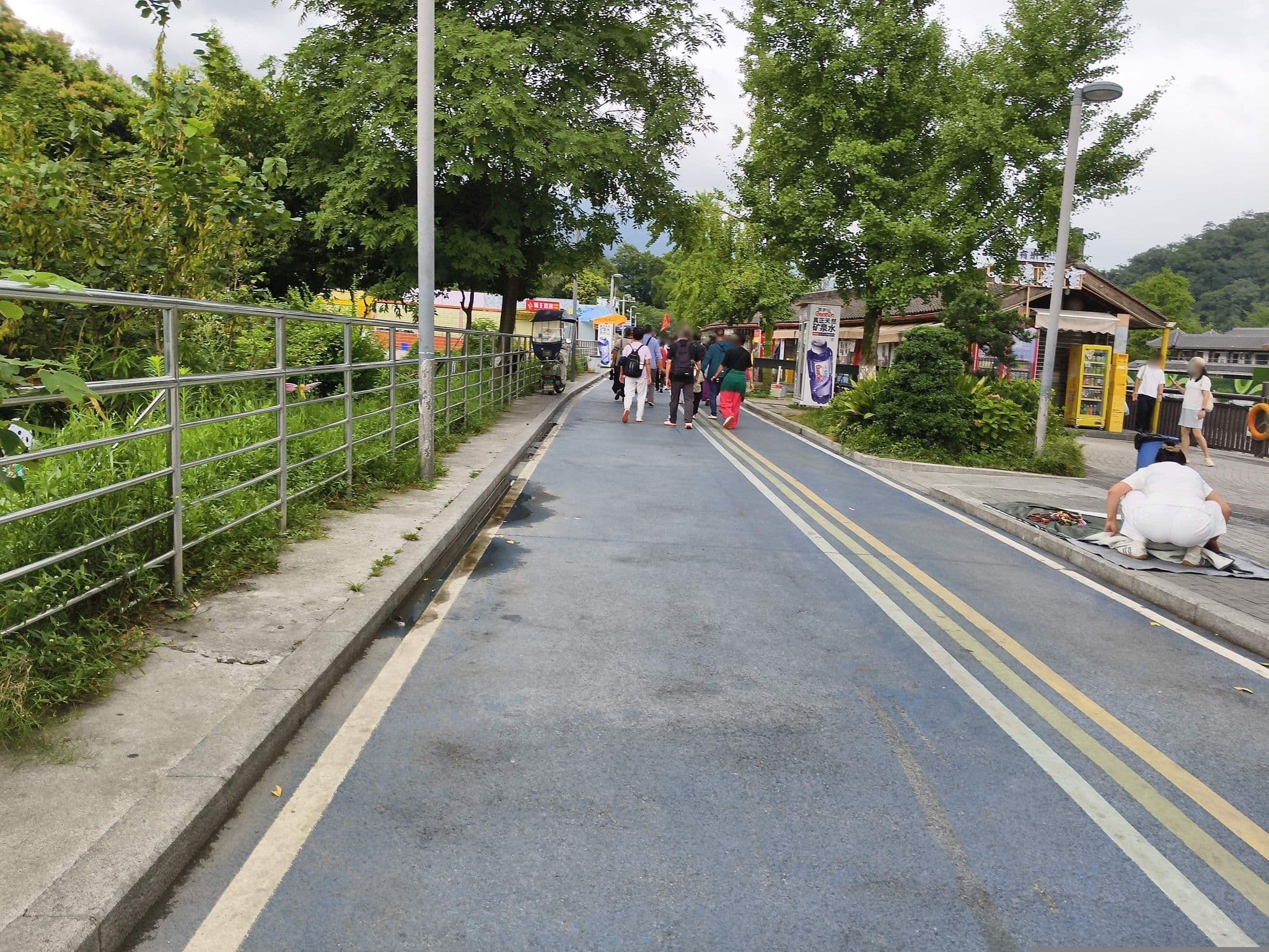 Street view near 都江堰四喜合院精品民宿, Tianpeng — © fuf (CC BY-SA · Mapillary)