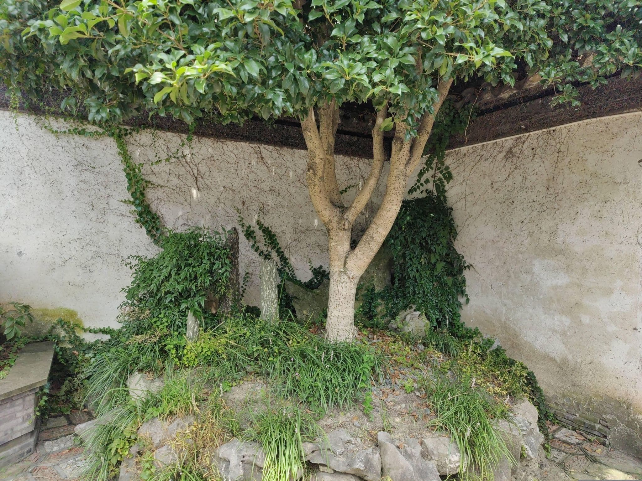 Street view near 周庄在水一方精品客栈, Zhouzhuang — © recklessxpy (CC BY-SA · Mapillary)