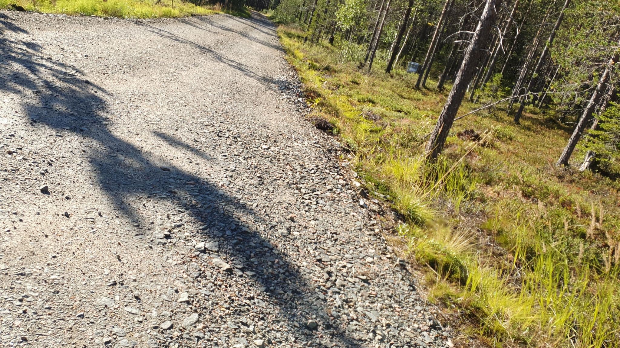 Street view near Kuura 12a, Kittilä — © houtari (CC BY-SA · Mapillary)