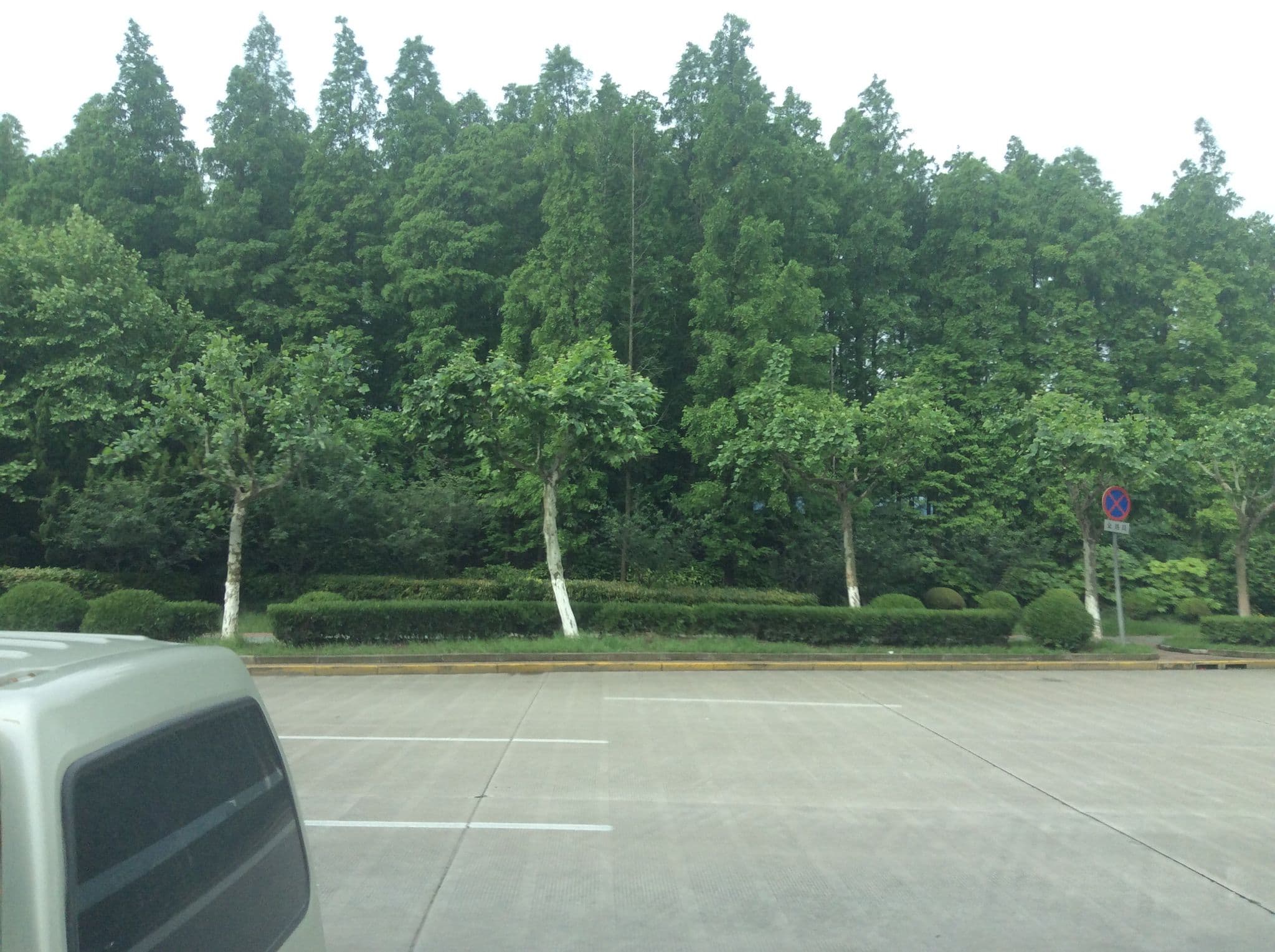 Street view near Intercity Hotel, Qibao — © mcdlee (CC BY-SA · Mapillary)