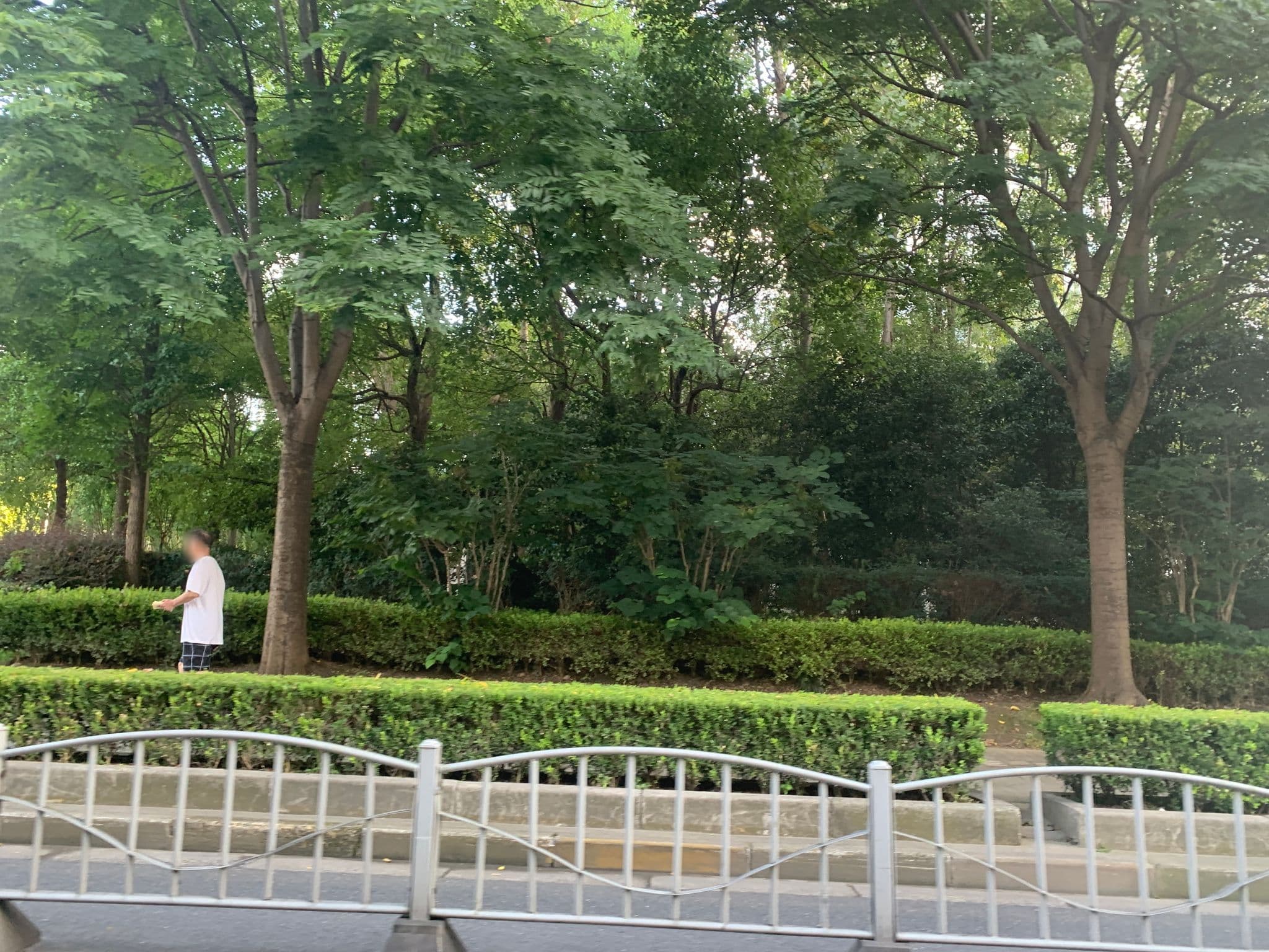 Street view near Shengguang Holiday Hotel Shanghai, Pudong — © pLyMiEwGpWDLryMacQzo (CC BY-SA · Mapillary)