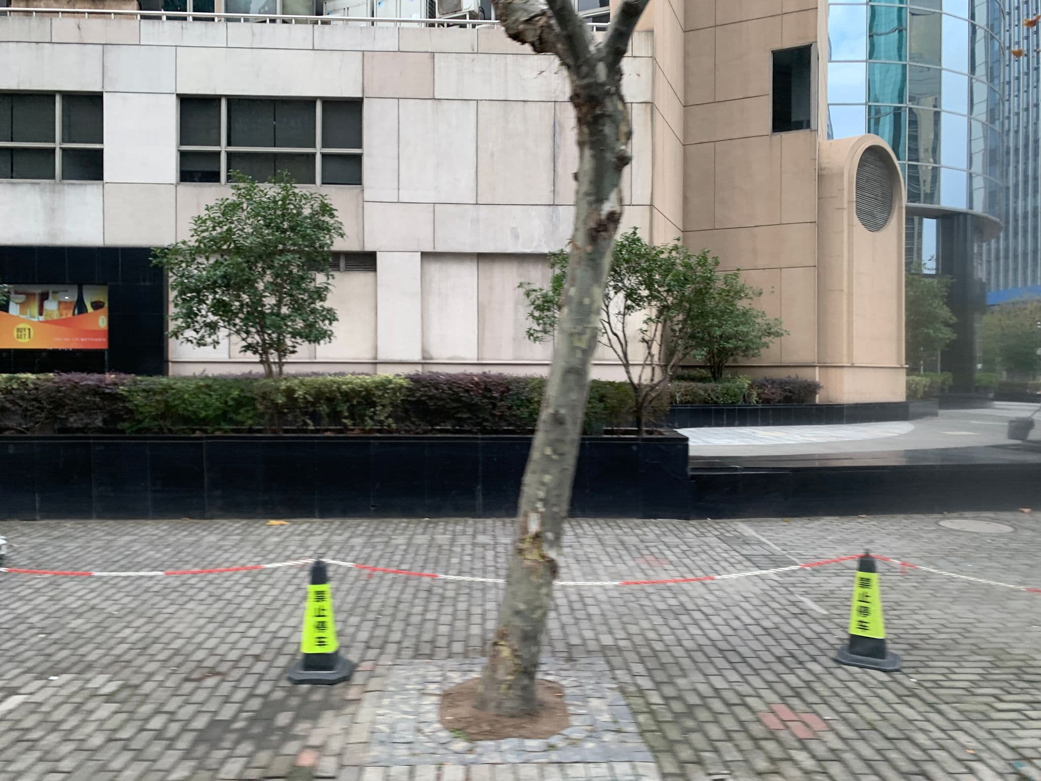 Street view near 上海長航美林阁大酒店, Pudong — © pLyMiEwGpWDLryMacQzo (CC BY-SA · Mapillary)