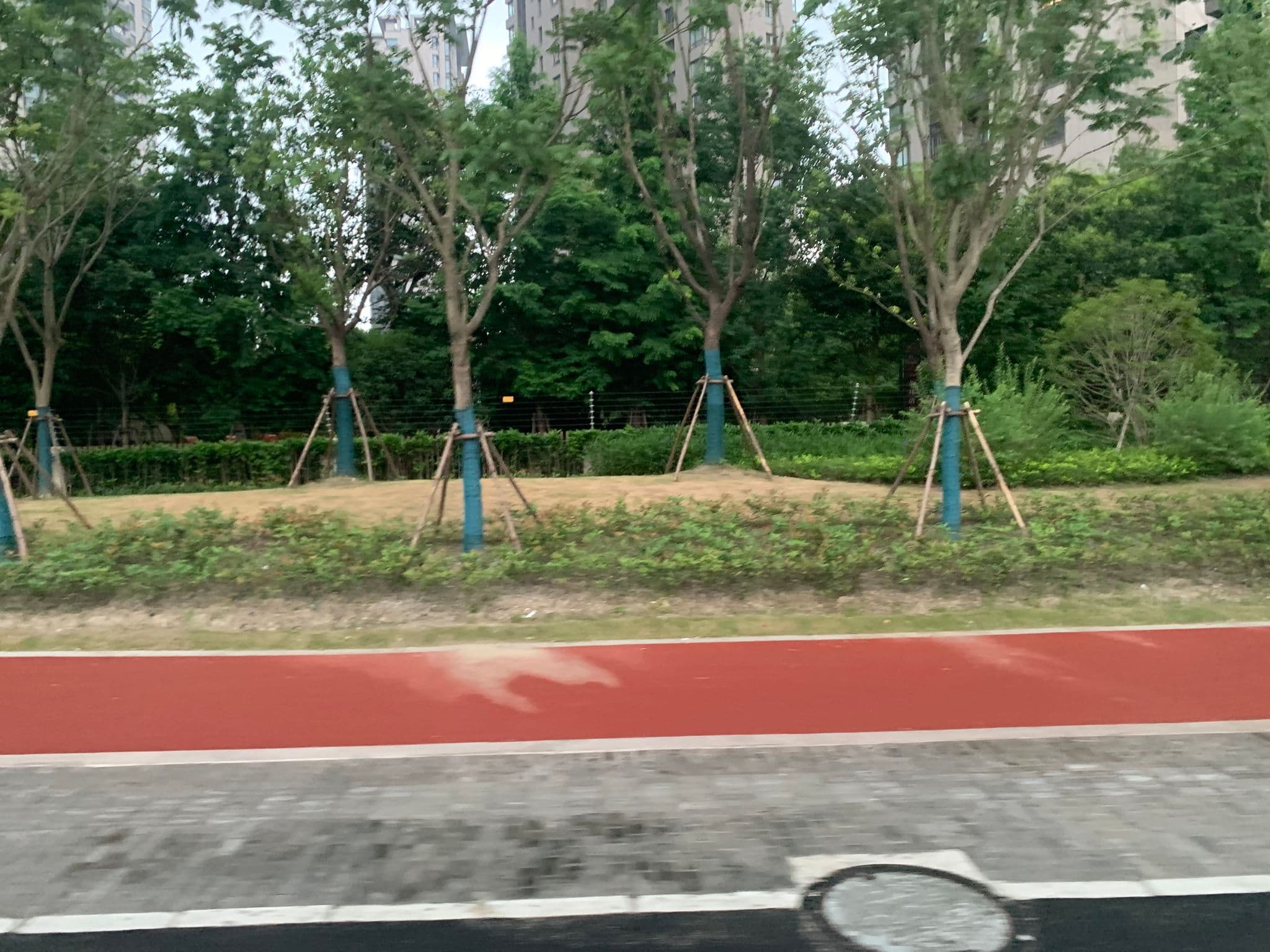 Street view near 上海偶寓青年旅舍, Pudong — © pLyMiEwGpWDLryMacQzo (CC BY-SA · Mapillary)