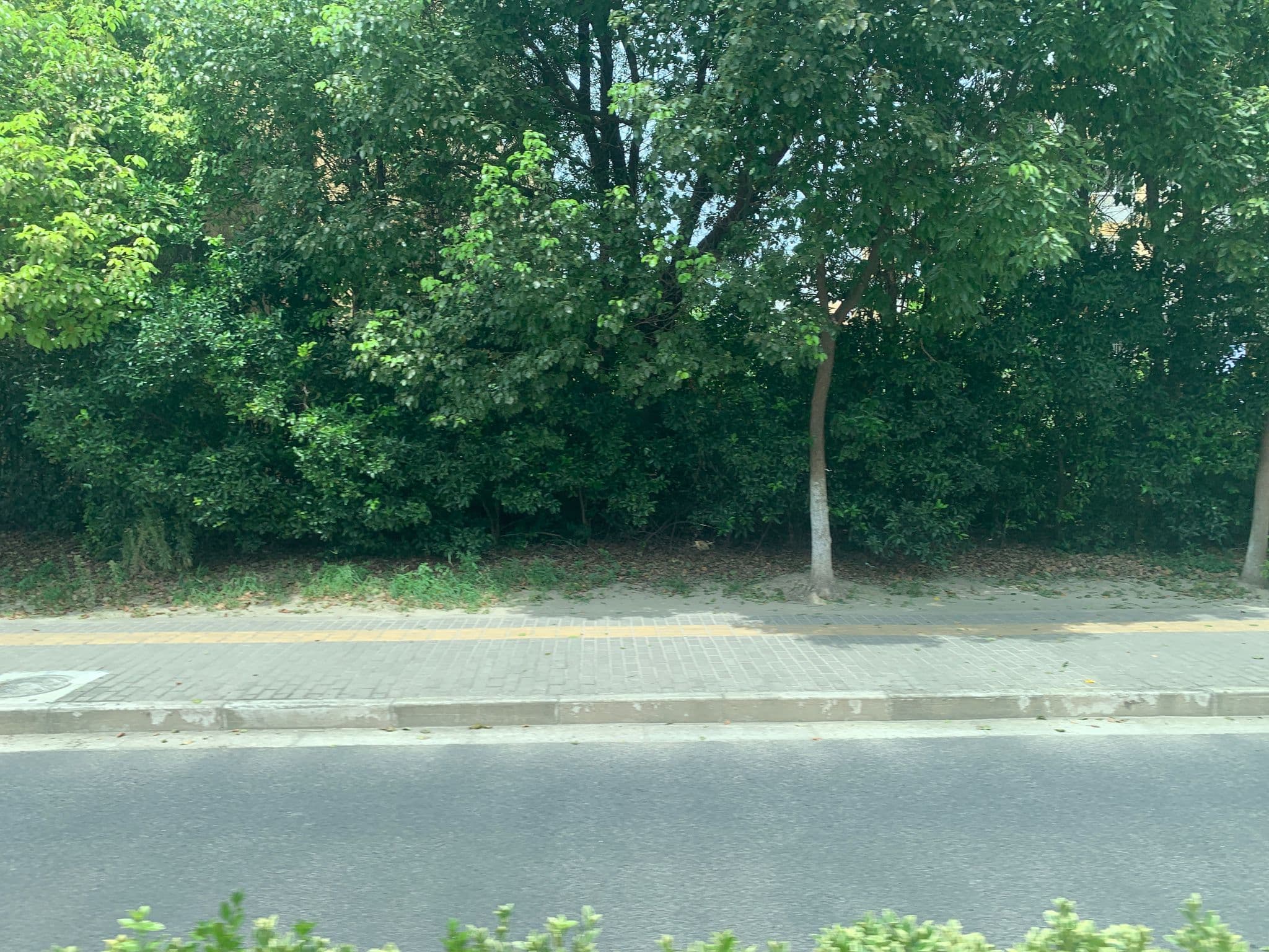 Street view near 胜高酒店, Huajing — © pLyMiEwGpWDLryMacQzo (CC BY-SA · Mapillary)