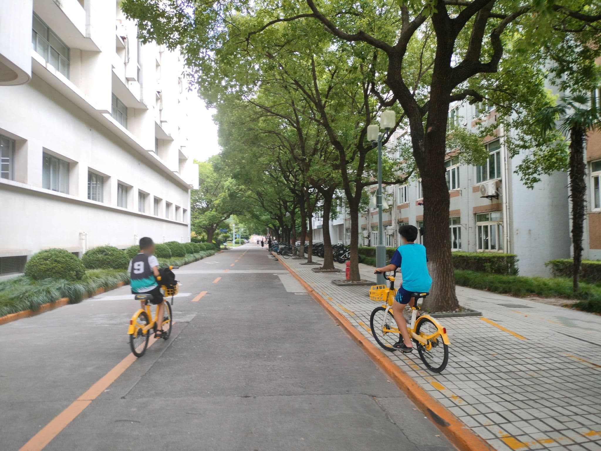 Street view near 同济大学干训楼, Yangpu — © Calyst (CC BY-SA · Mapillary)