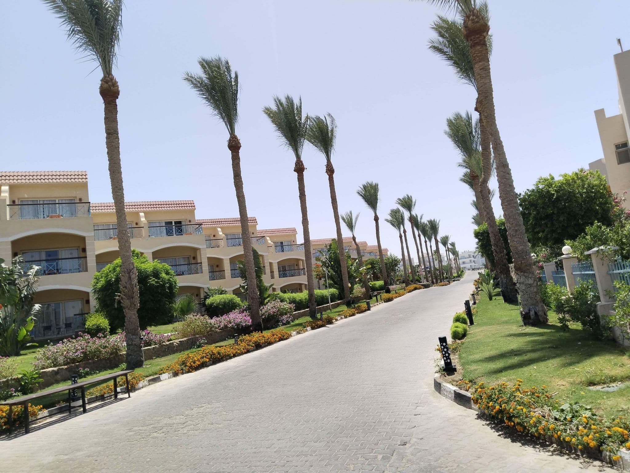 Street view near Aurora Cyrene Resort, Sharm el-Sheikh — © Yurikson (CC BY-SA · Mapillary)
