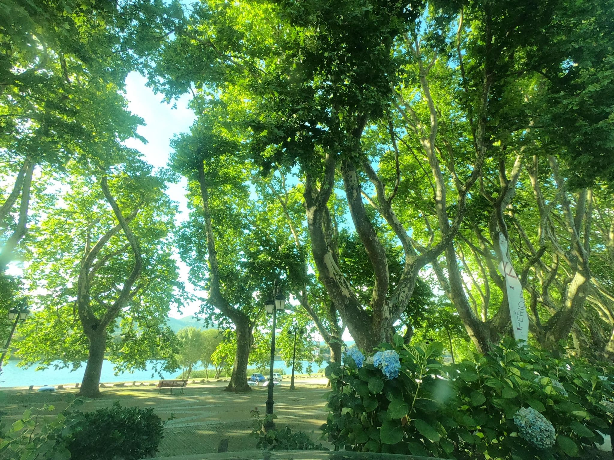 Street view near Império do Norte, Ponte de Lima — © filohipo (CC BY-SA · Mapillary)