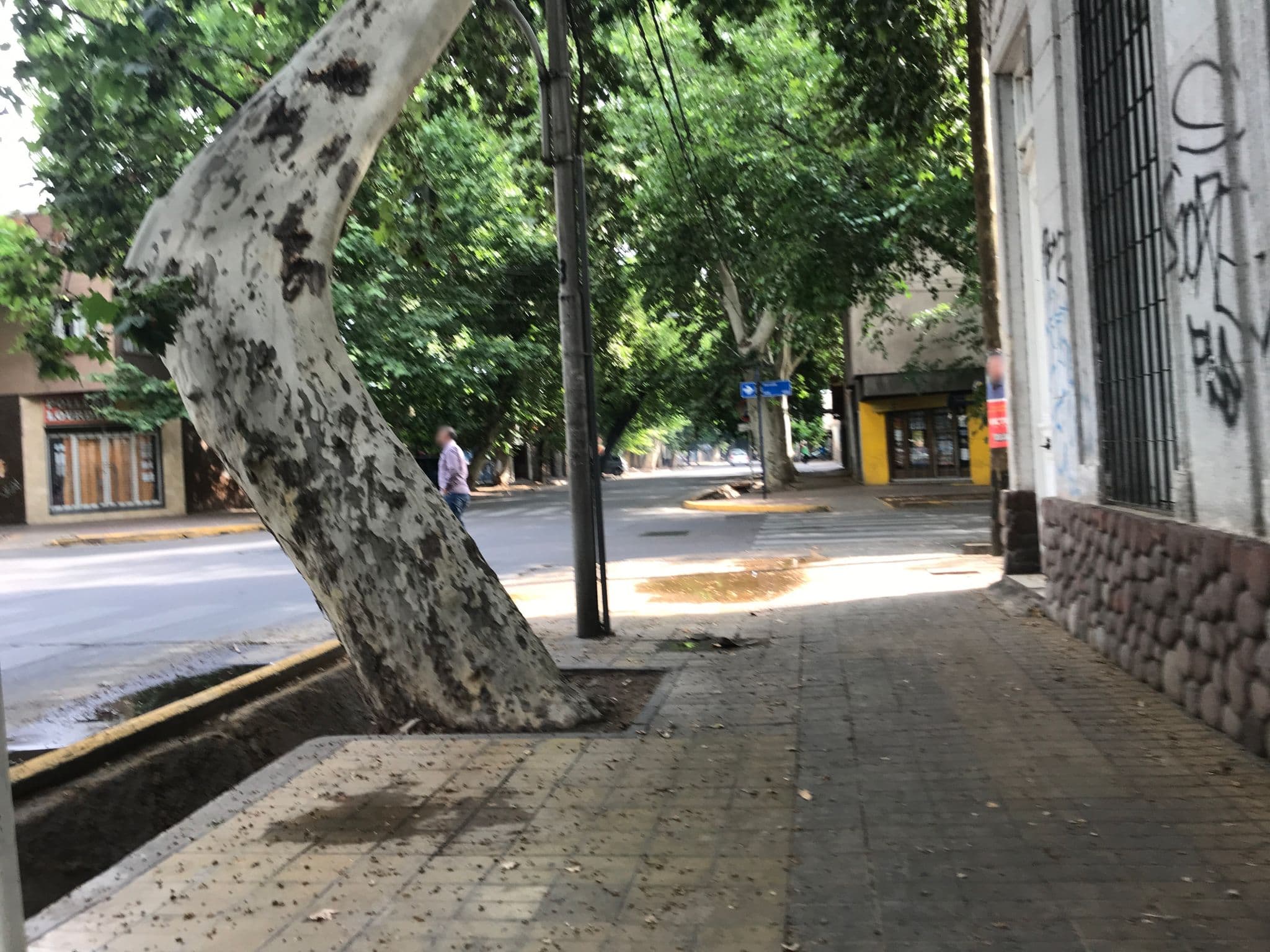 Street view near capital, Mendoza