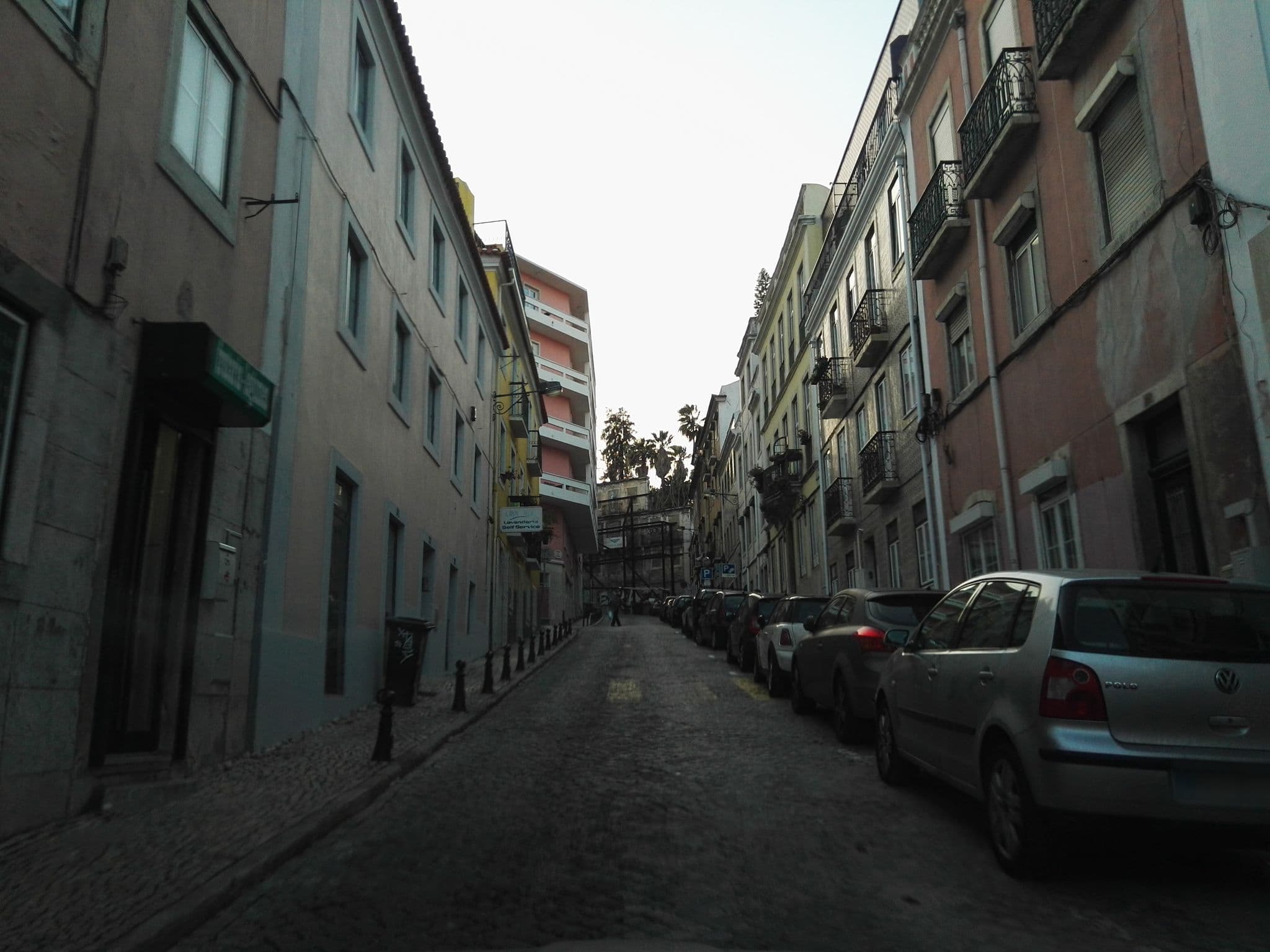 Street view near Hotel Botânico, Principe Real — © filipegraciosa (CC BY-SA · Mapillary)