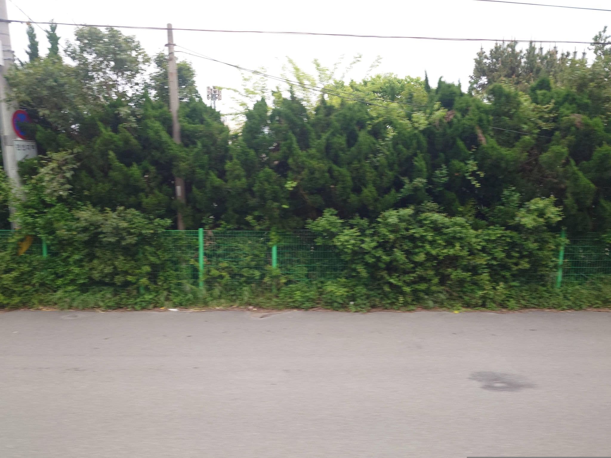 Street view near Pool, Gijang — © BladesOfSin (CC BY-SA · Mapillary)