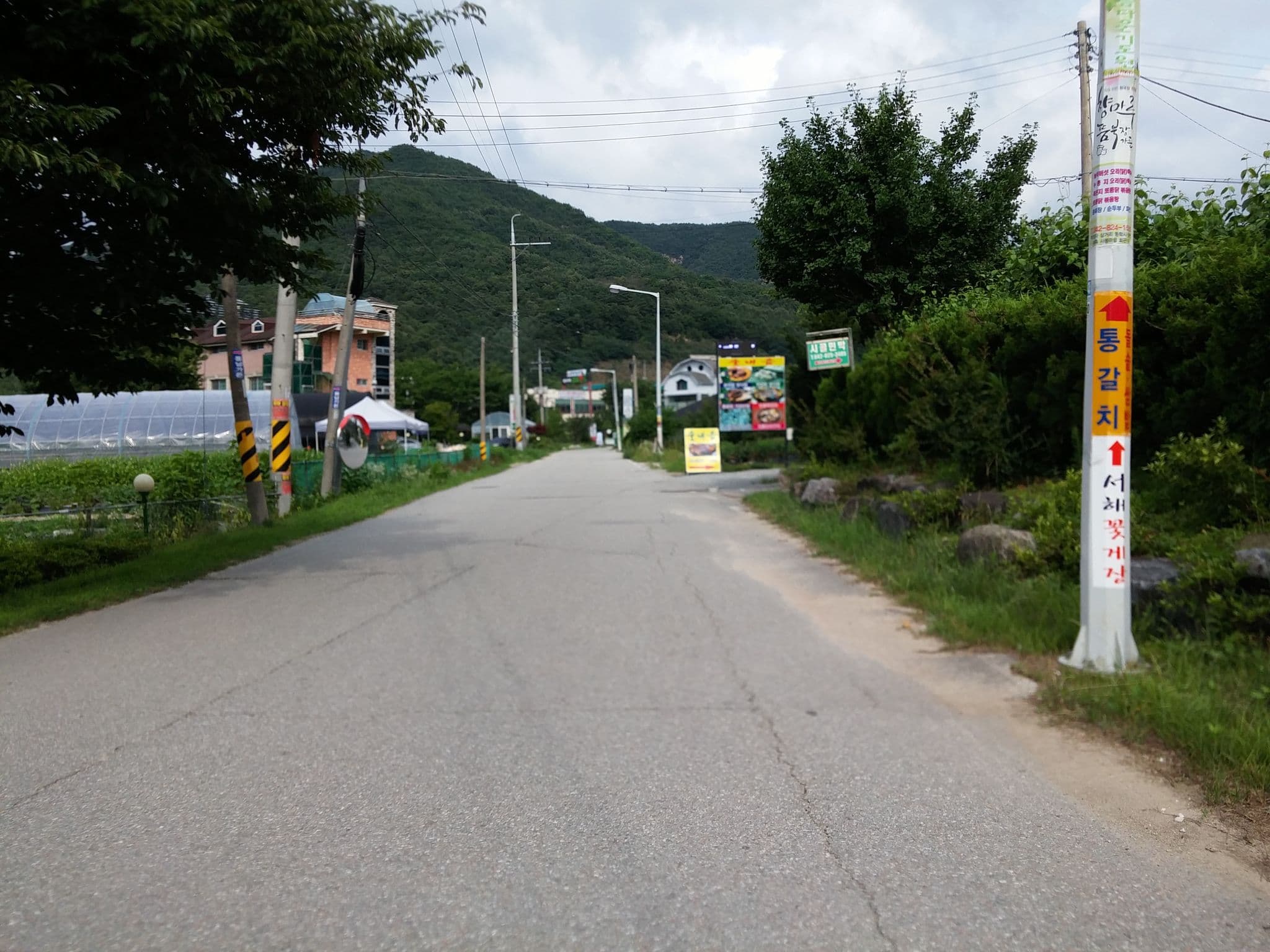 Street view near 산마을민박, Daejeon — © alimamo (CC BY-SA · Mapillary)