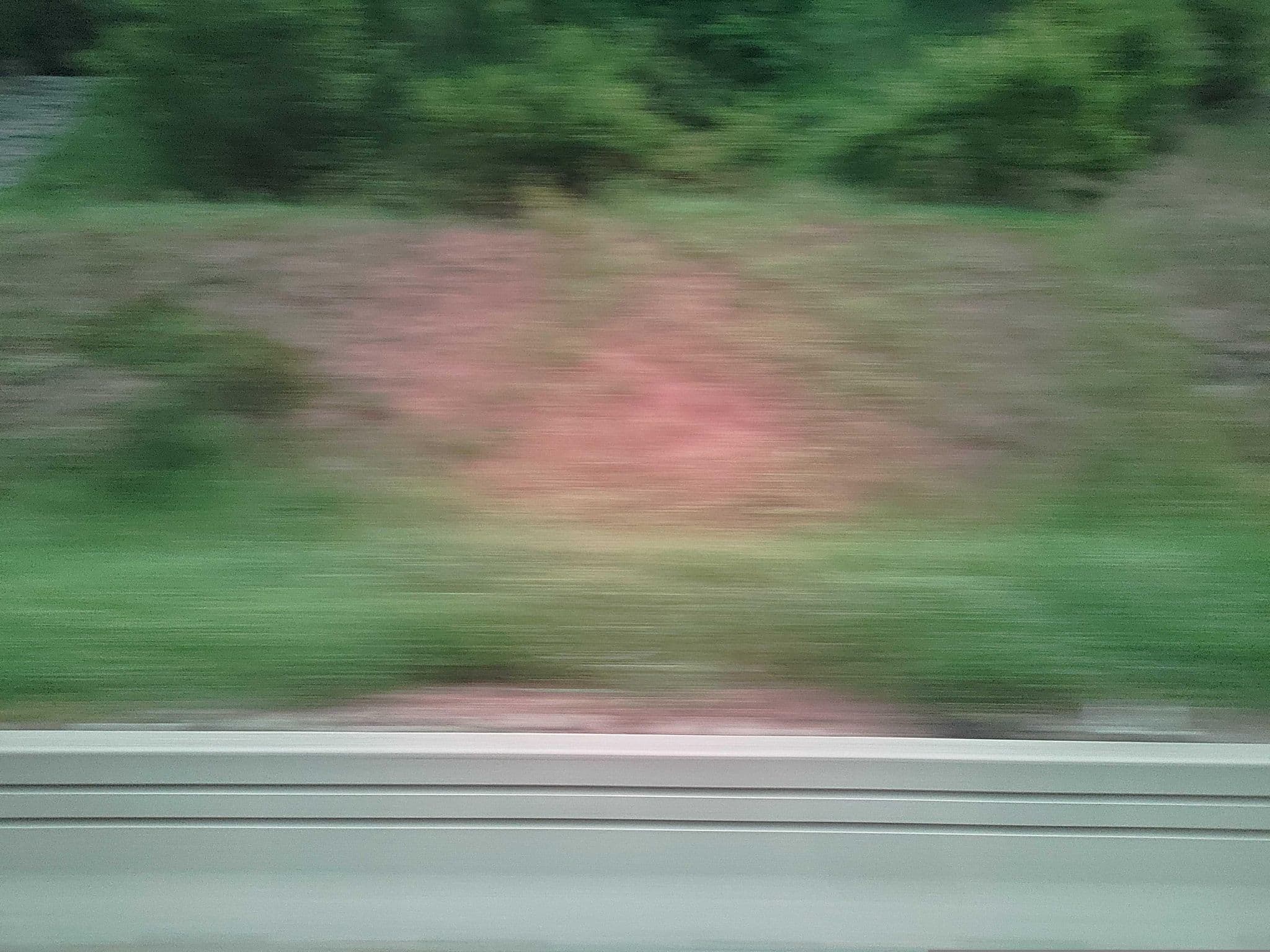 Street view near I'PARK 콘도, Pyeongchang — © ChenJJ (CC BY-SA · Mapillary)