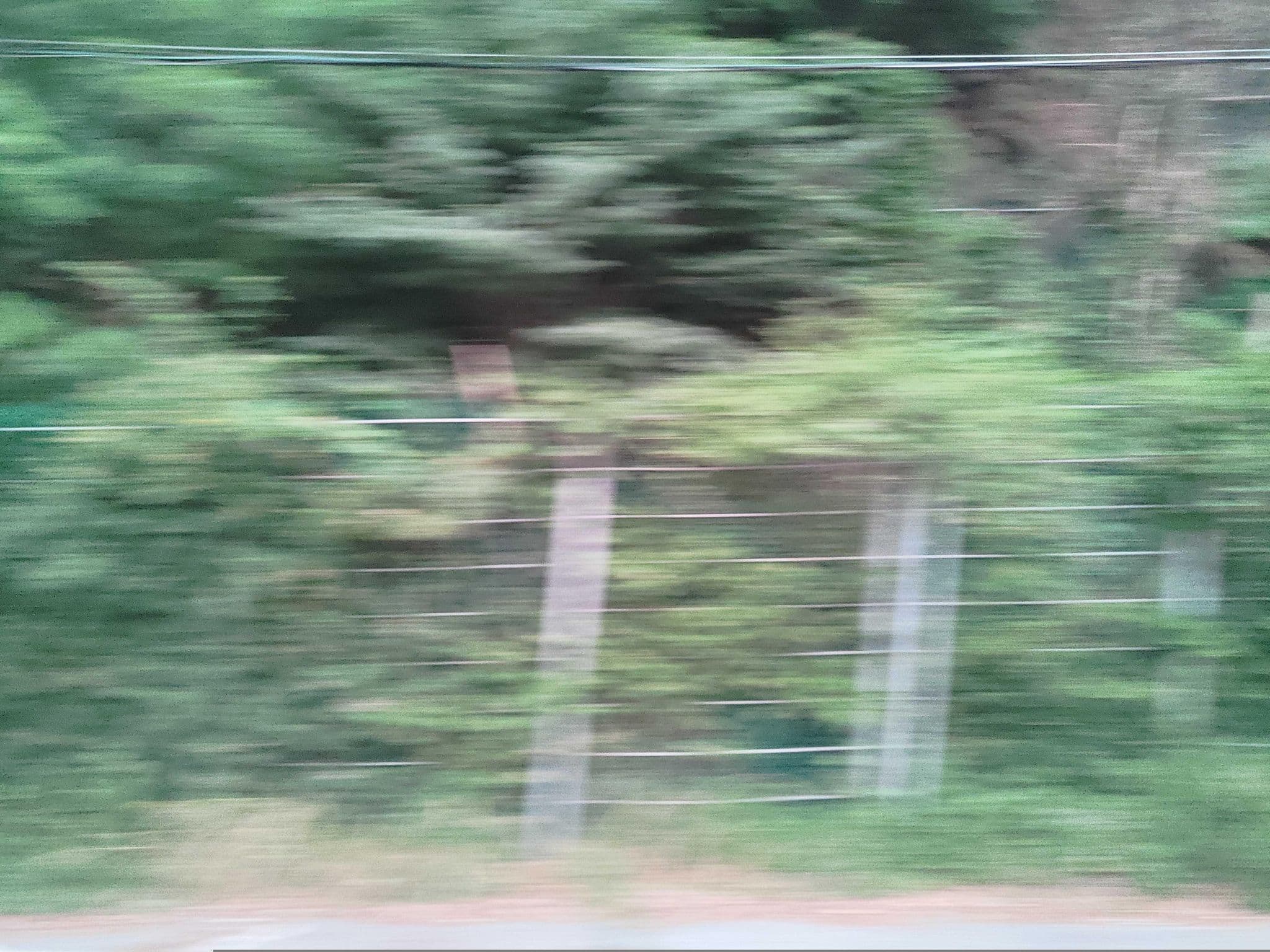 Street view near 다우리조텔, Gangneung — © ChenJJ (CC BY-SA · Mapillary)