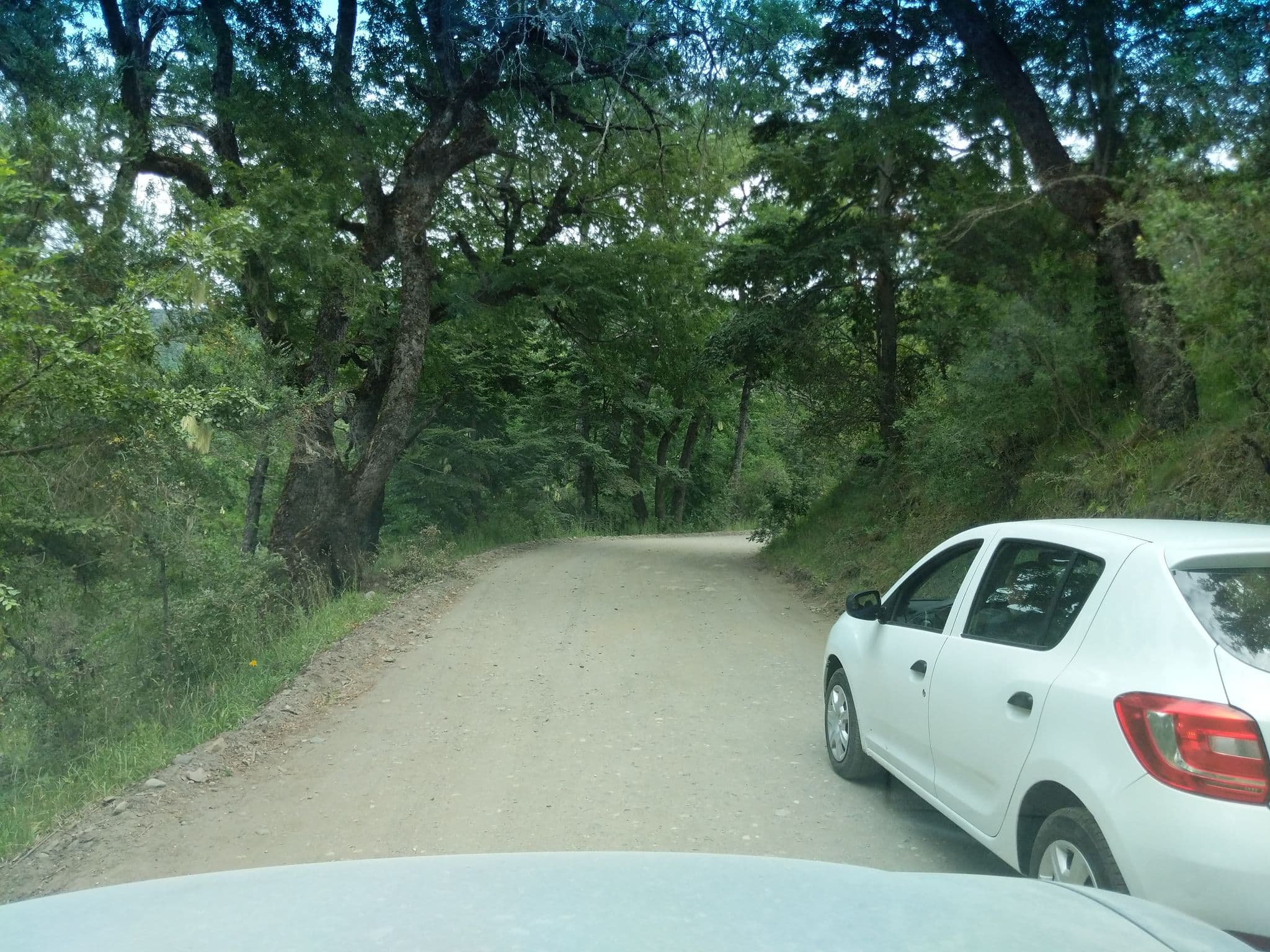 Street view near Camping Bandurrias, San Martín de los Andes