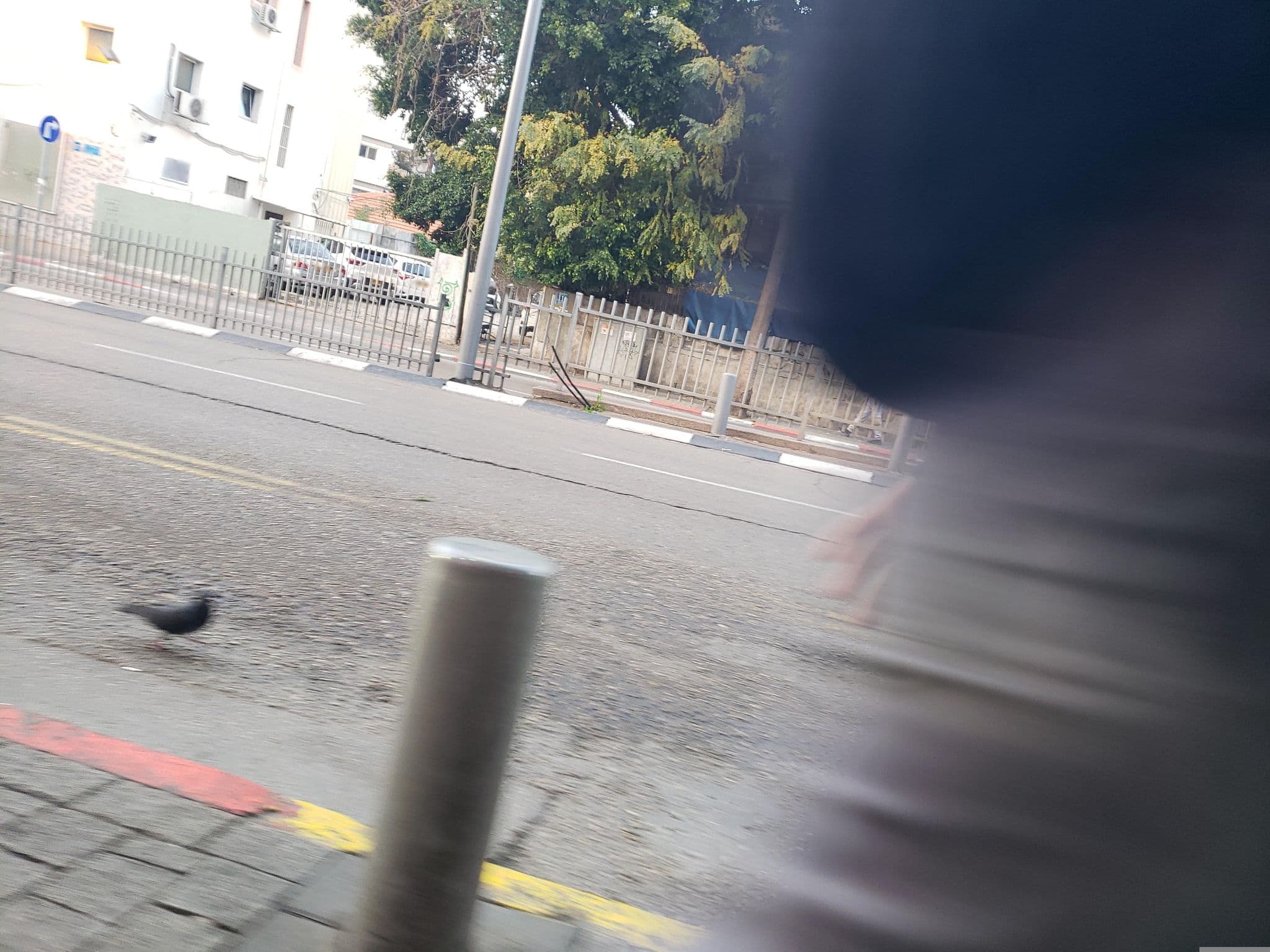 Street view near Levinski 113, Tel Aviv — © mapfool (CC BY-SA · Mapillary)