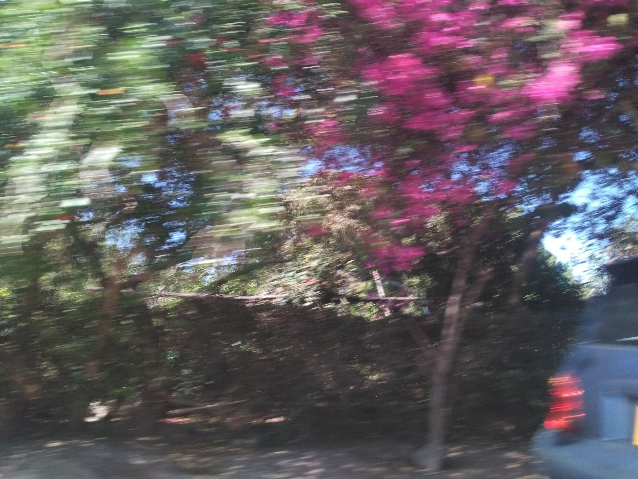 Street view near Modern Hotel, Dodoma — © ralebipim (CC BY-SA · Mapillary)