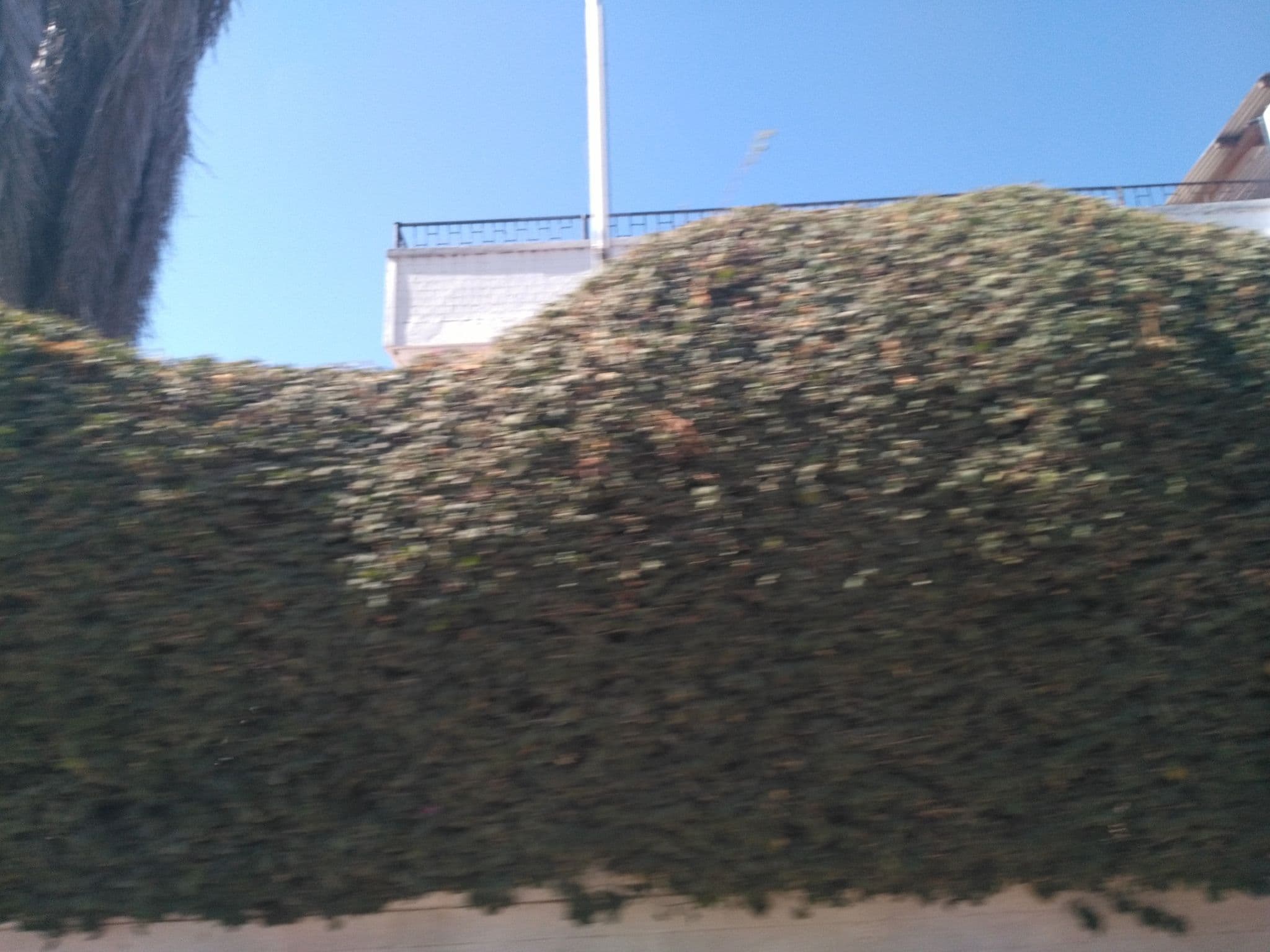 Street view near Nam Hotel Ltd, Dodoma — © ralebipim (CC BY-SA · Mapillary)