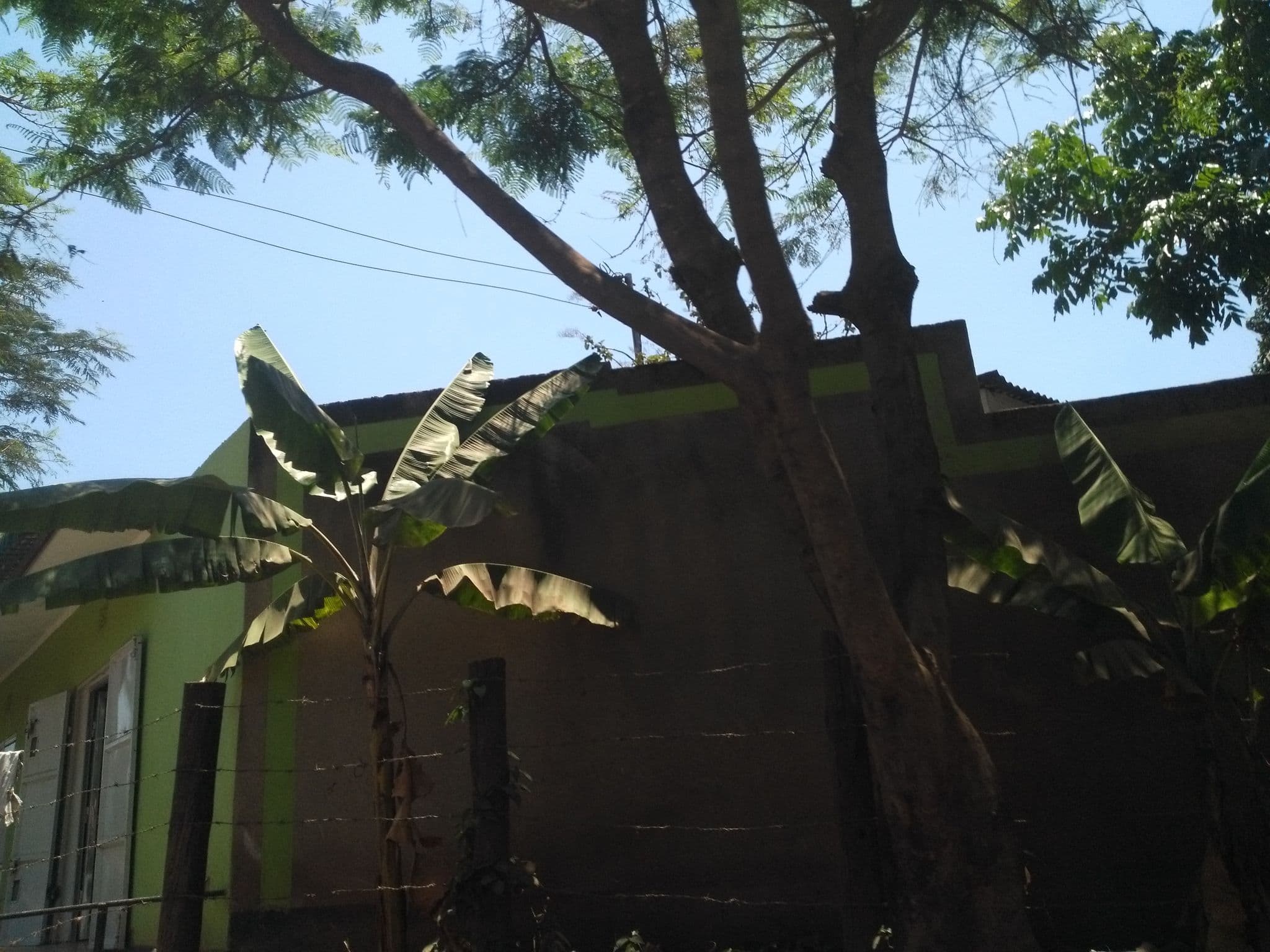 Street view near Africana Grand Hotel Arusha, Arusha — © ralebipim (CC BY-SA · Mapillary)