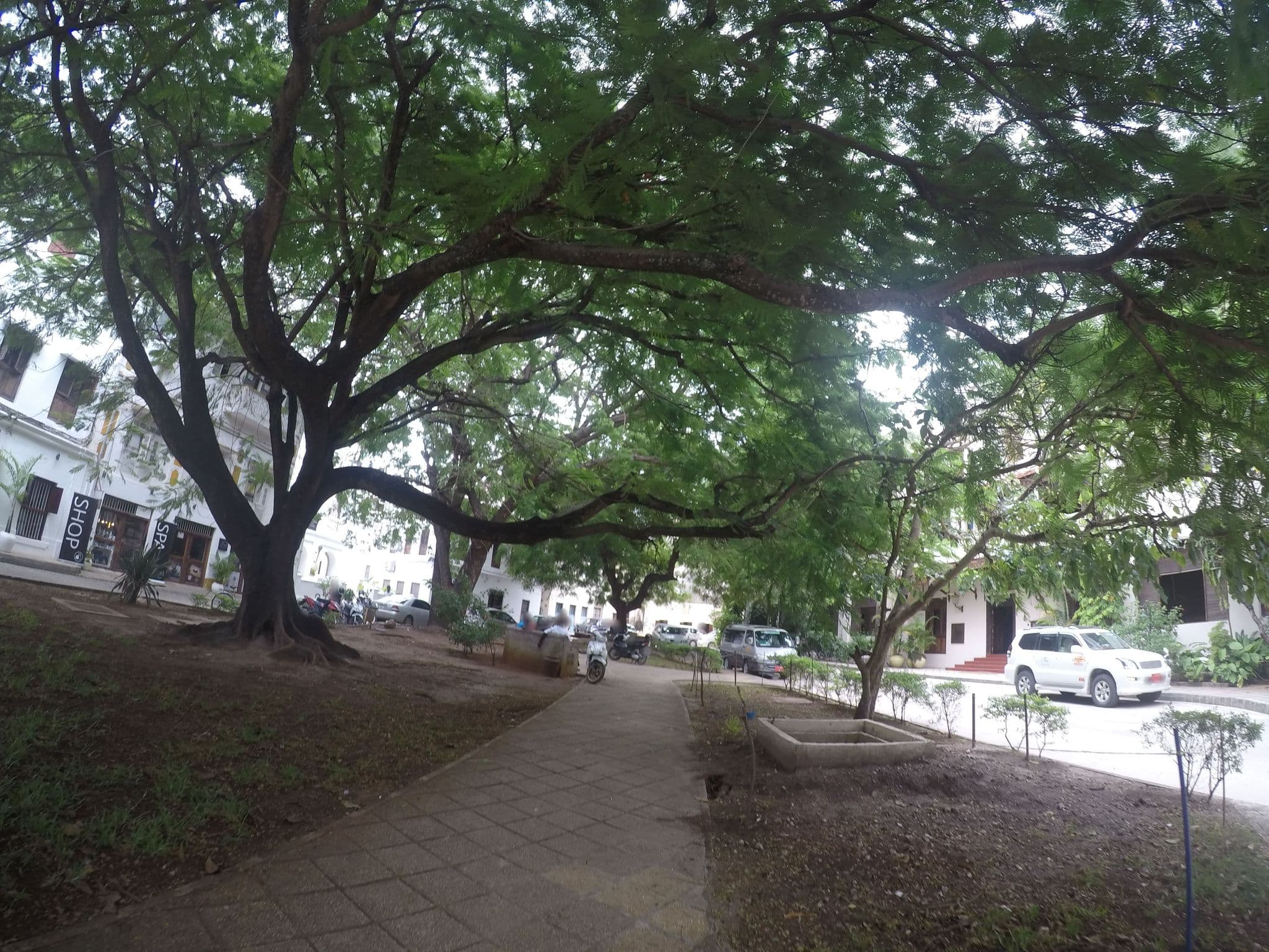 Street view near Beyt al Salam, Zanzibar — © omarshehe (CC BY-SA · Mapillary)