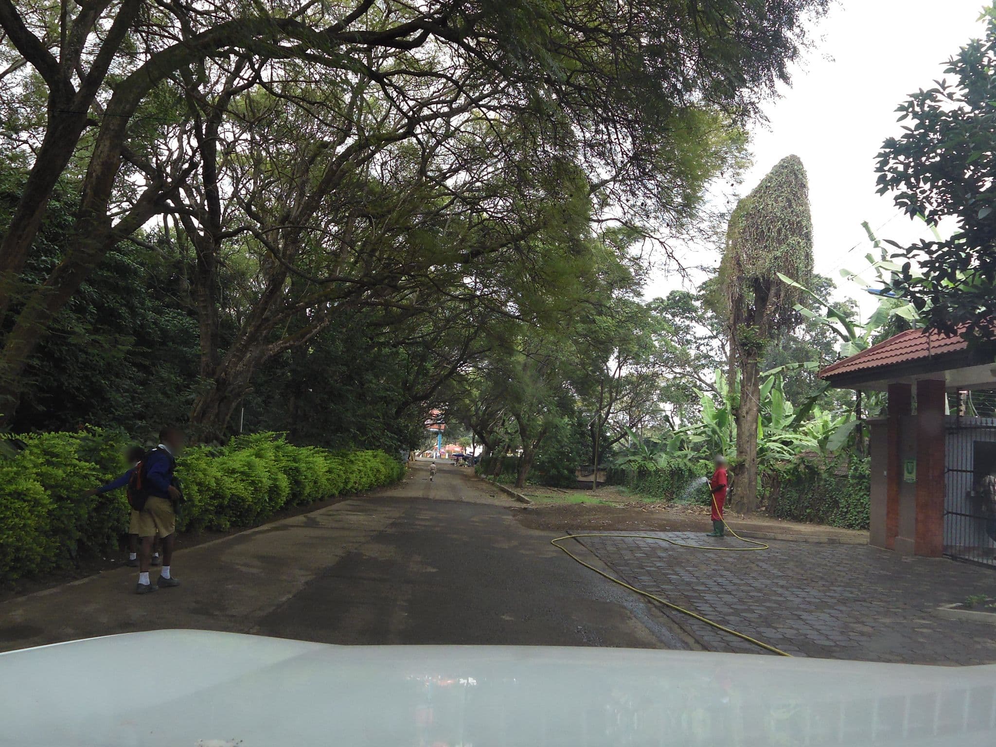 Street view near Rush Garden Business Hotel, Arusha — © stonor (CC BY-SA · Mapillary)