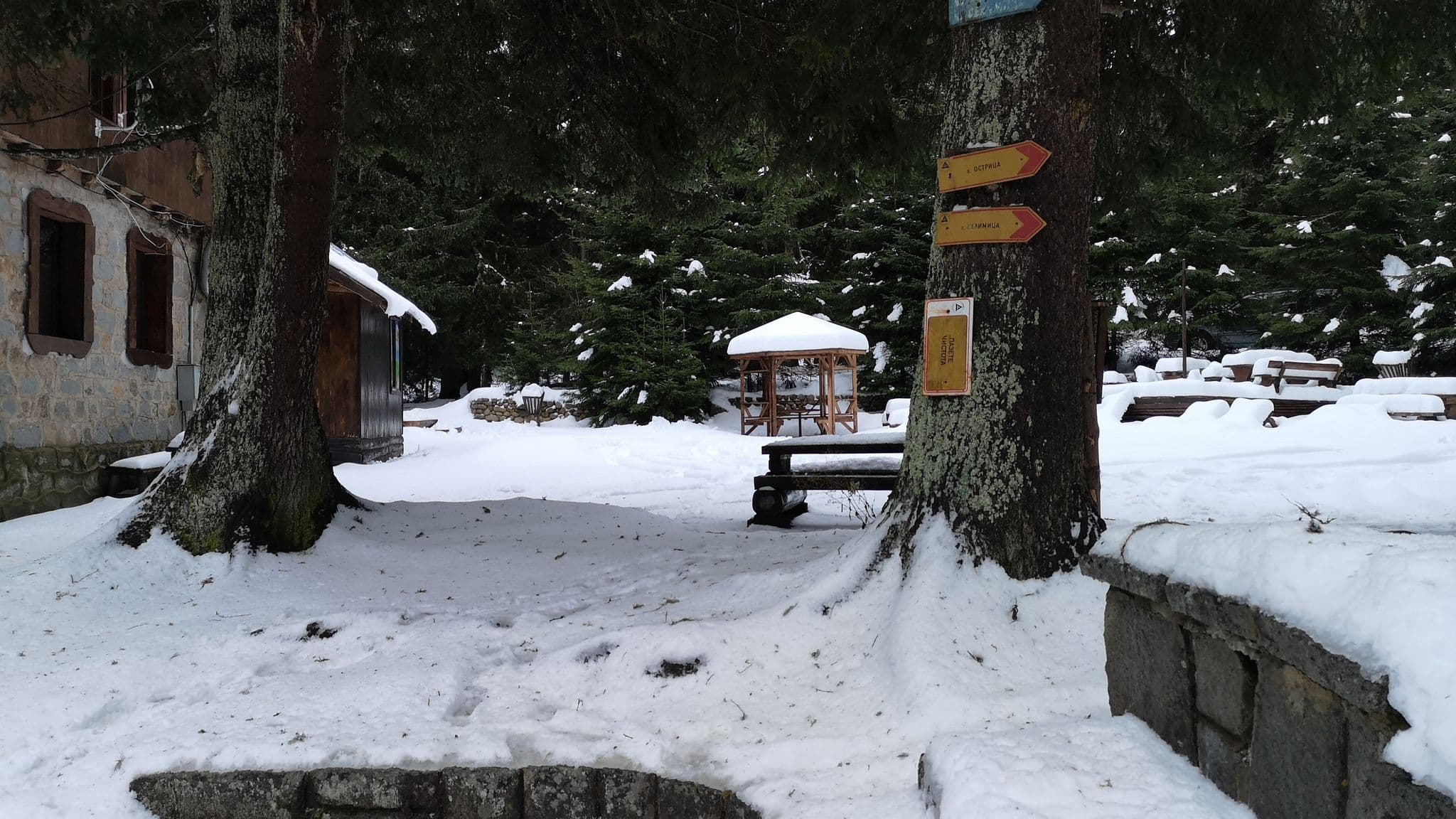 Street view near Хижа Еделвайс (Edelweiss hut), Sofia — © bdjon (CC BY-SA · Mapillary)