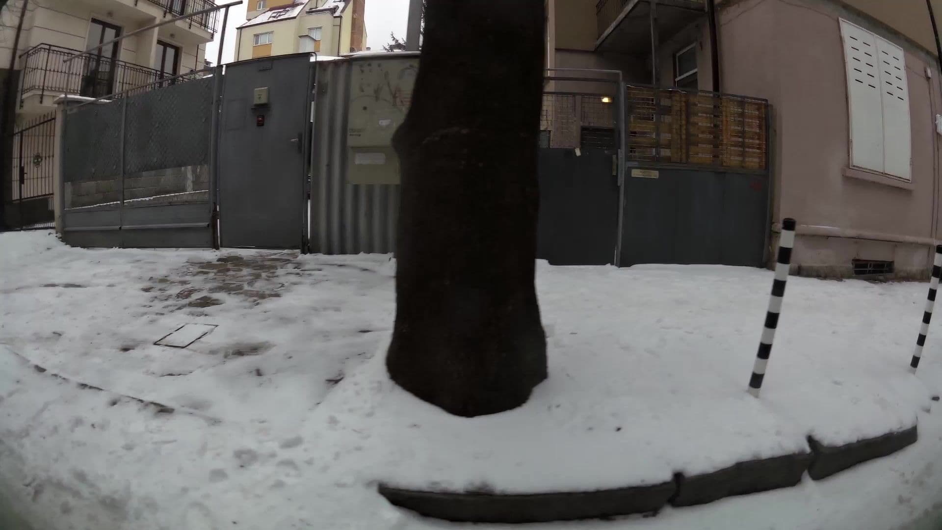 Street view near Alegra Hostel, Sofia — © kaartcam (CC BY-SA · Mapillary)