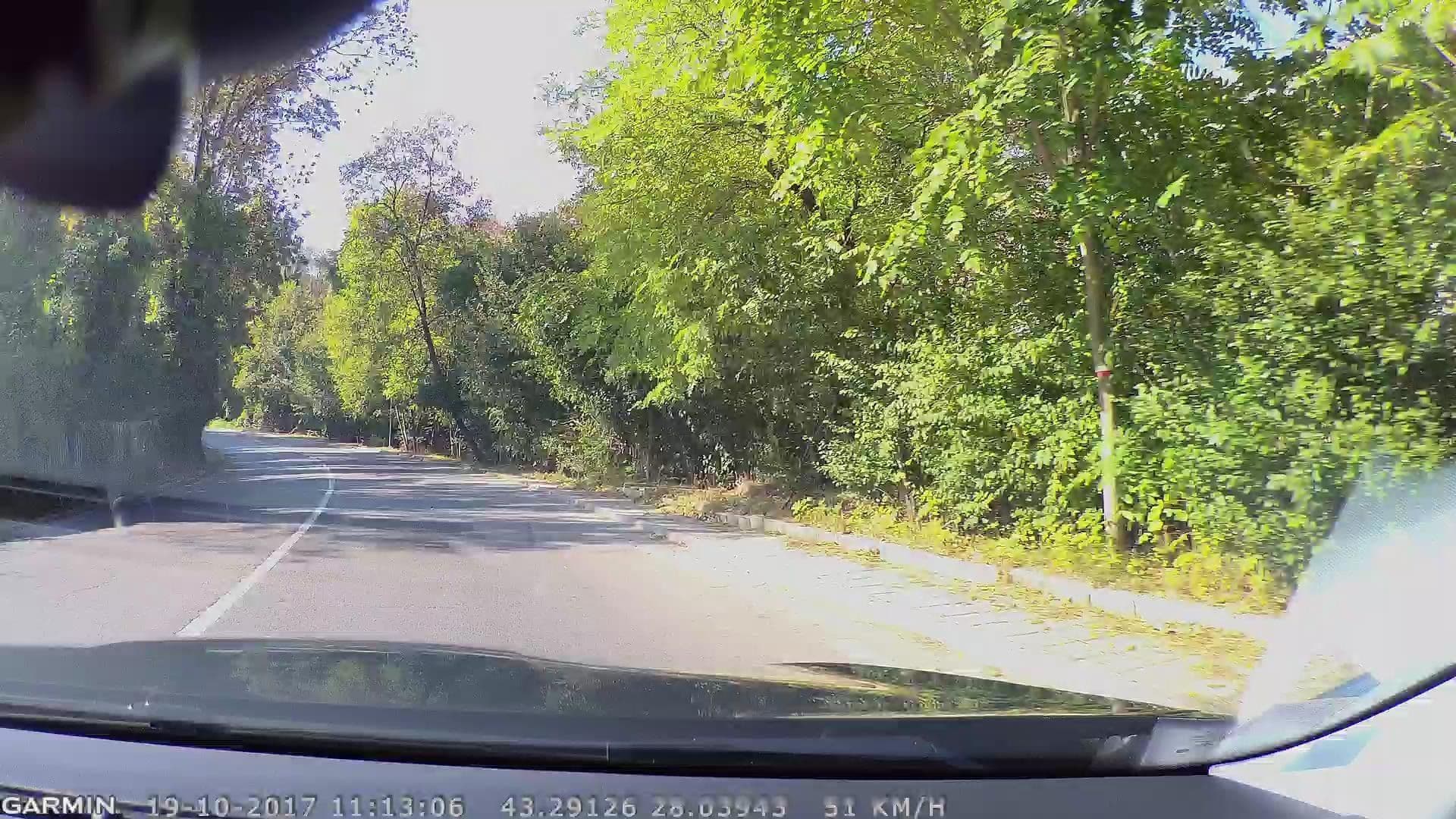 Street view near Golden Horn, Zlatni Pyasatsi — © navteq_bg (CC BY-SA · Mapillary)