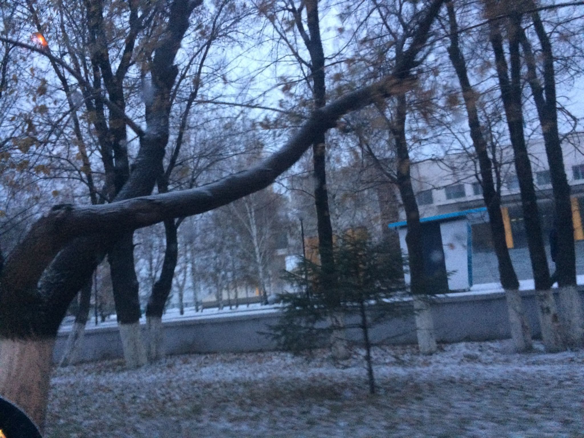 Street view near Алтын-орда, Astana — © nurzhan (CC BY-SA · Mapillary)